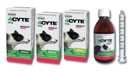 4Cyte Epiitalis Forte Dog Joint Supplement - 50ml Liquid Formula for Canine Hip & Joint Support - Relieves Pain & Improves Mobility for Active & Senior Dogs