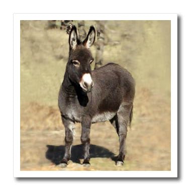 3Drose Miniature Donkey Iron-On Heat Transfer Paper - 8x8 Inch for DIY T-Shirts, Tote Bags & Fabric Crafts - Perfect for Custom Apparel & Personalized Gifts