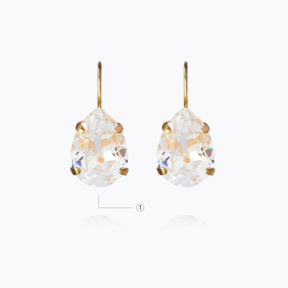 Mini Drop Clasp Earrings - Dainty Gold/Silver/Rose Gold Stud Earrings for Women - Perfect for Everyday Wear, Parties & Gifts