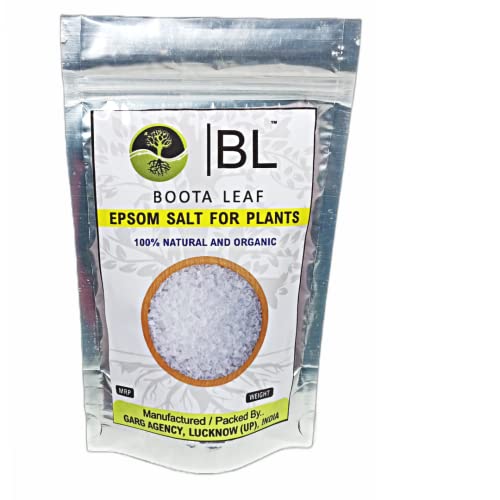 Organic Epsom Salt for Plants - Water Soluble Magnesium Sulfate Fertilizer for Flowers, Fruits & Vegetables - 600g Pack - Boosts Growth & Development in Gardening & Hydroponics