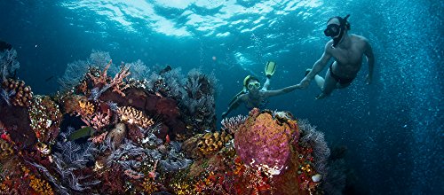 Key West Double Dip: 2-Stop Reef Snorkeling Tour for Couples - Romantic Gift Experience with Tinggly Voucher in Gift Box | Perfect for Anniversaries & Honeymoons