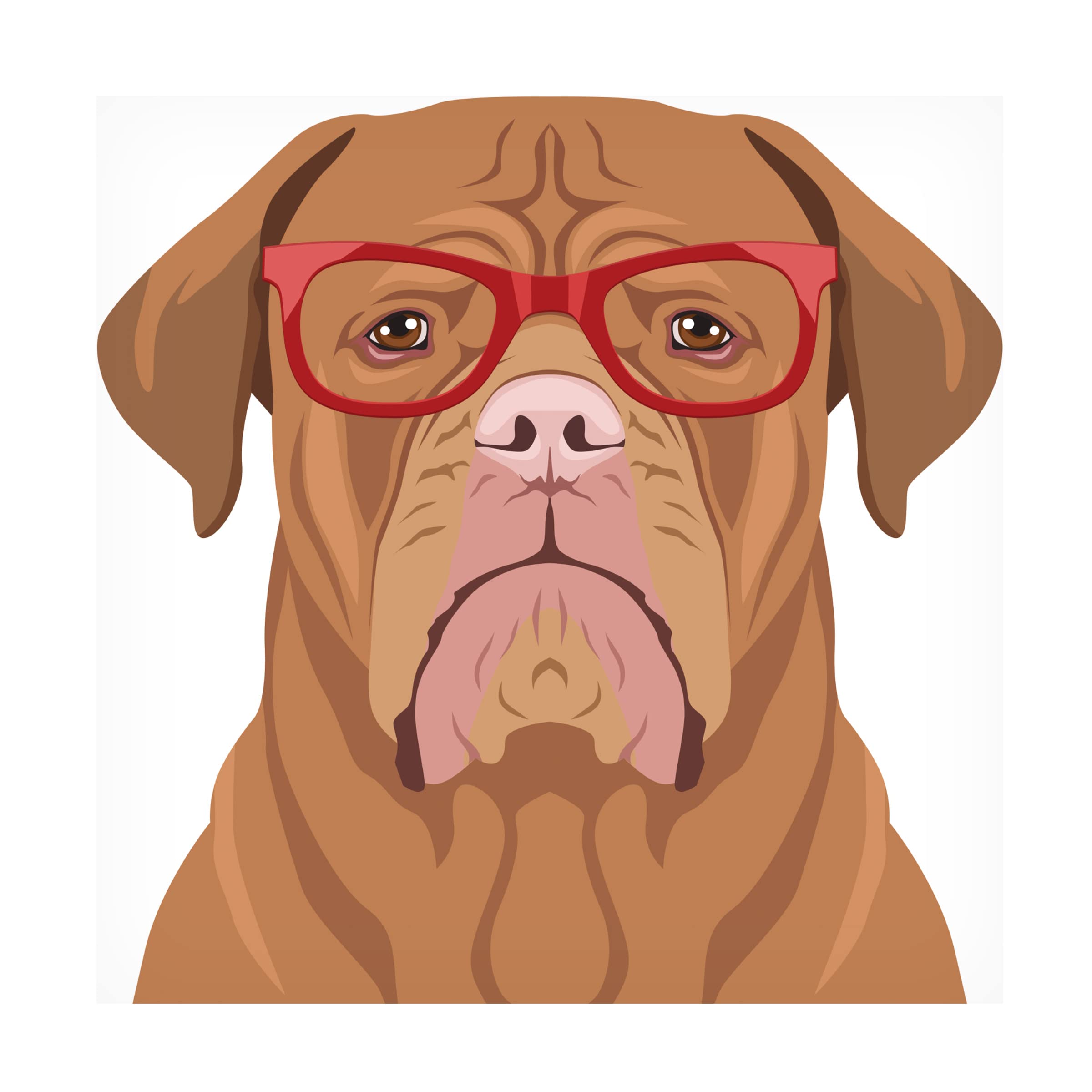 Trademark Fine Art 'Dogue De Bordeaux Wearing Hipster Glasses' Canvas Wall Art Print - Modern Pet Portrait for Living Room, Bedroom & Office Decor