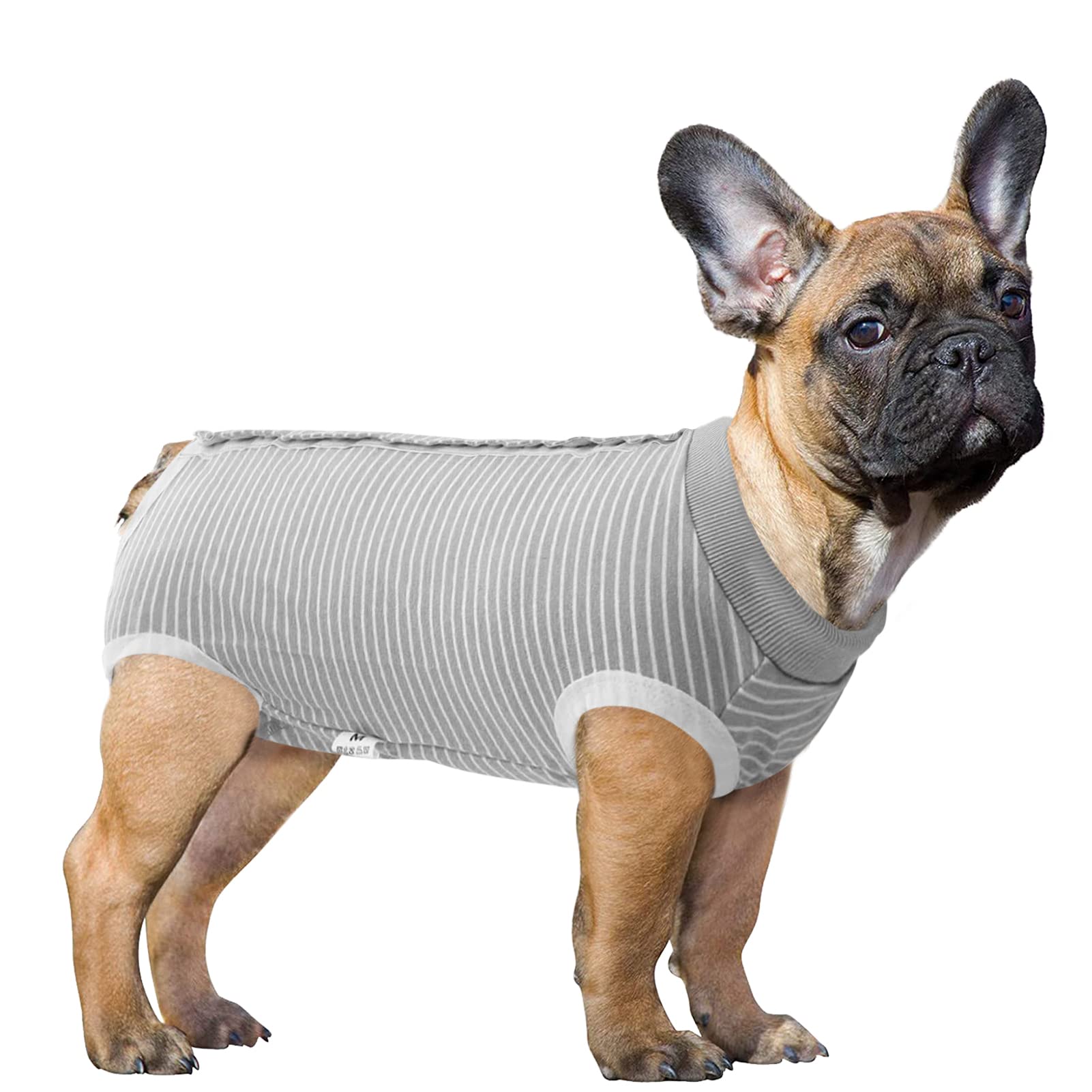 SAWMONG Dog Recovery Suit - Post-Surgery Surgical Suit for Dogs, Spay/Neuter Onesie Alternative to E-Collar Cone - Soft & Comfortable Pet Bodysuit (Grey, Medium) - Perfect for Post-Op Care, Wound Protection & Stress-Free Healing