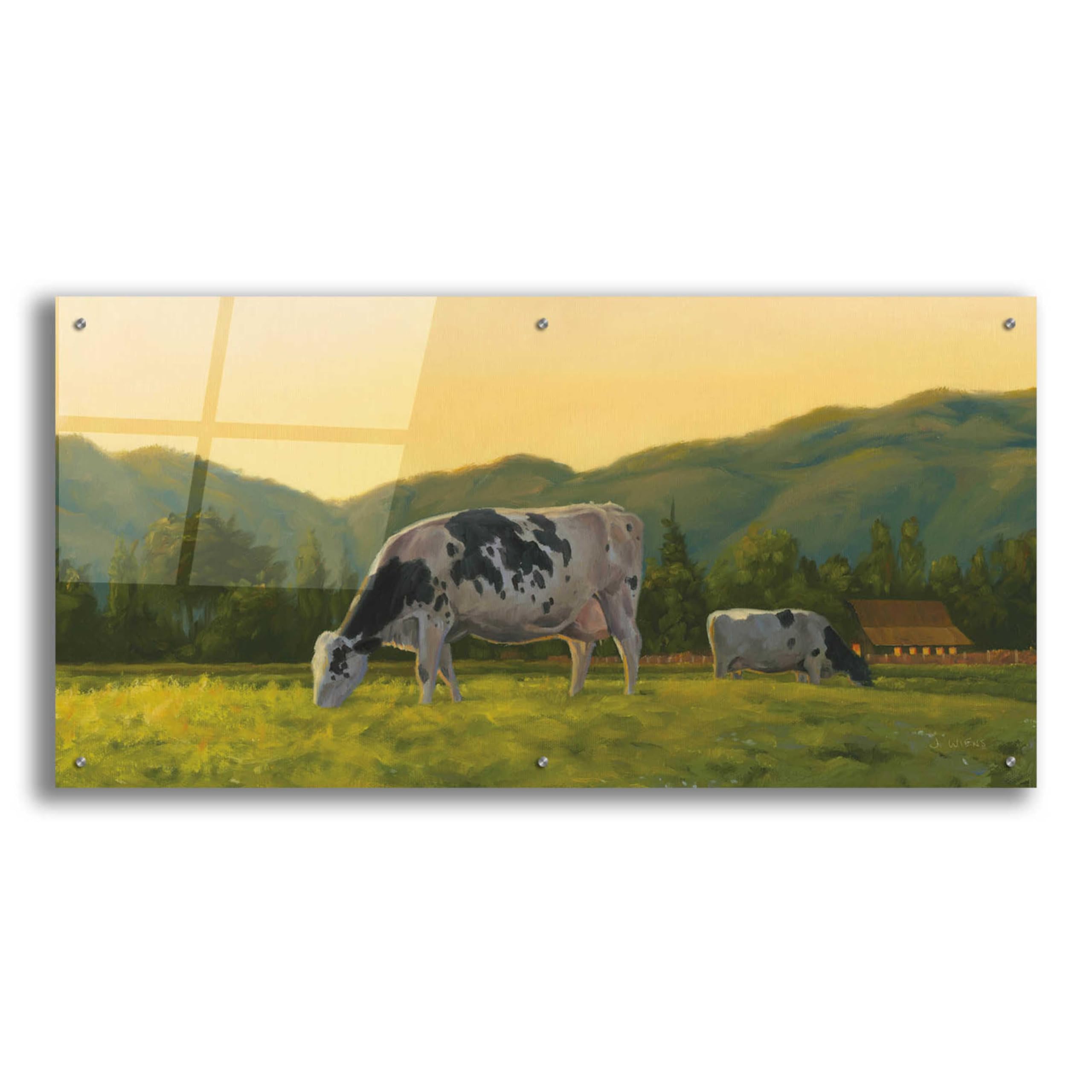Farm Life III by James Wiens - 48x24 Inch Acrylic Glass Wall Art Painting - Modern Farmhouse Decor for Living Room, Bedroom & Office