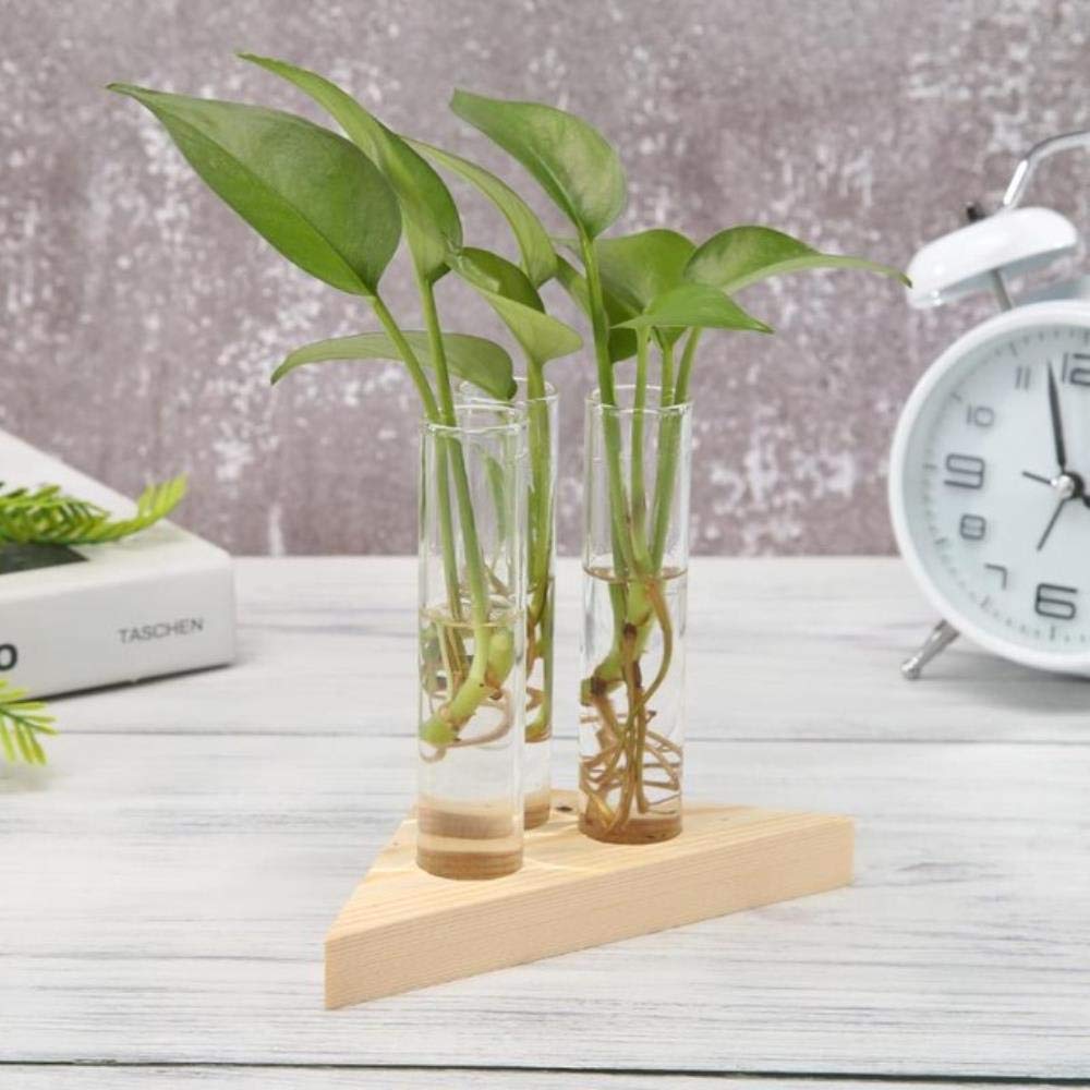 VJRQM Transparent Glass Vase with Wood Frame & Iron Art - Elegant Terrarium Bonsai Planter for Home Decor, Office Desk, Wedding Centerpiece (3-Pack) | Perfect for Succulents, Air Plants & Tabletop Decorations