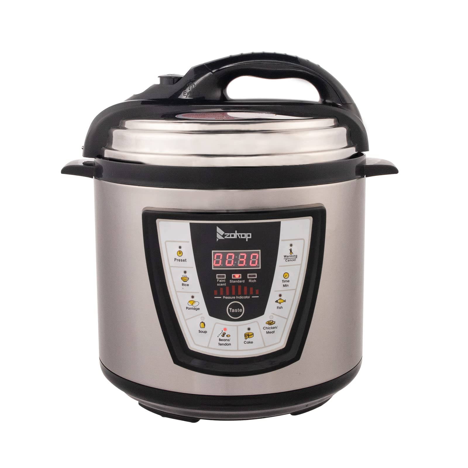 1000W Stainless Steel Electric Pressure Cooker with 13-in-1 Cooking Modes - Fast & Safe Push-Button Operation - Perfect for Meal Prep, Slow Cooking & Family Dinners (Stainless Steel)