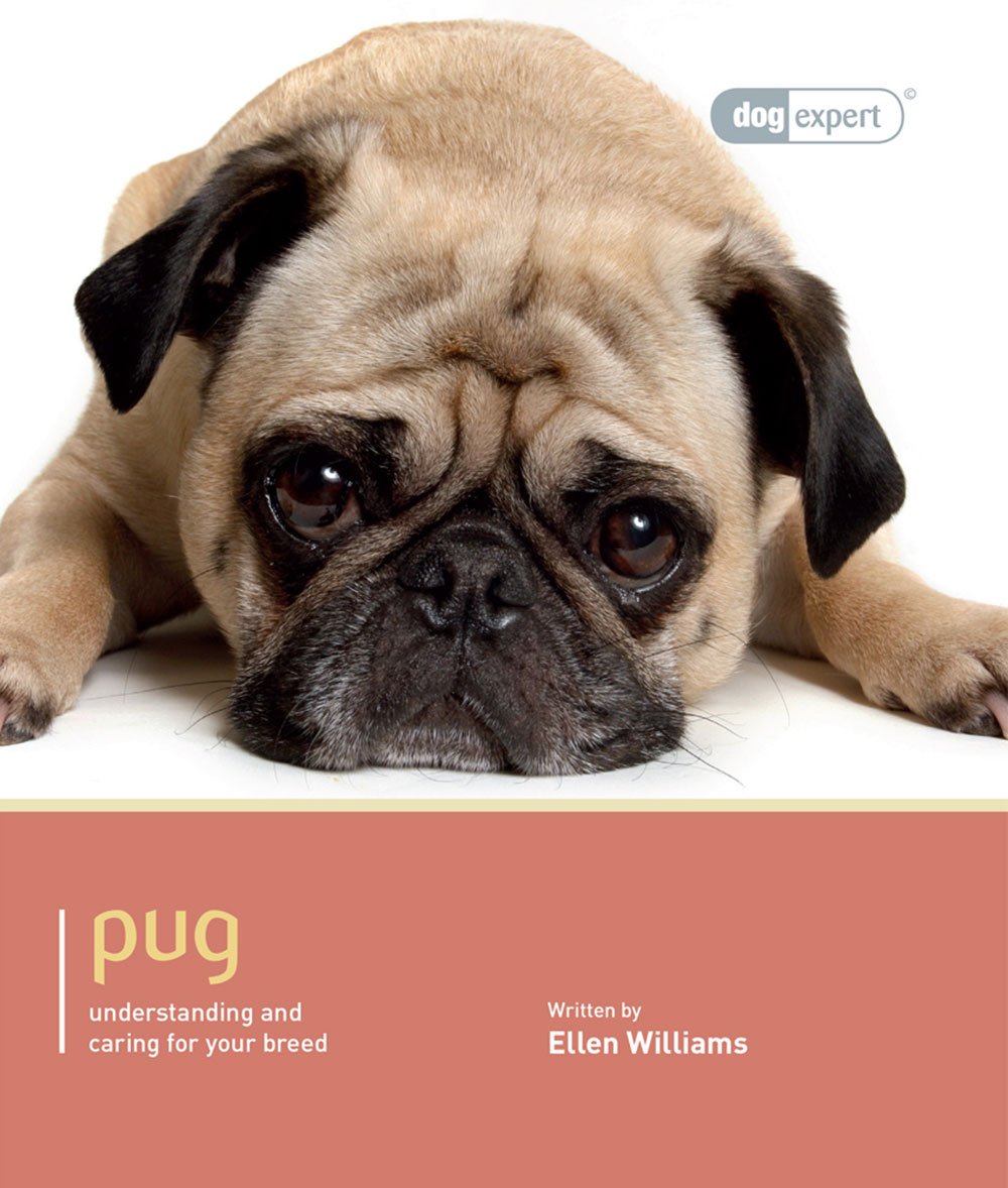 **Pug Dog Care Guide: Expert Tips for Training, Grooming & Health | Perfect for Families & First-Time Owners**    *(Use Cases: Ideal for new pug owners, families with kids, or anyone looking for expert advice on raising a happy and healthy pug.)*
