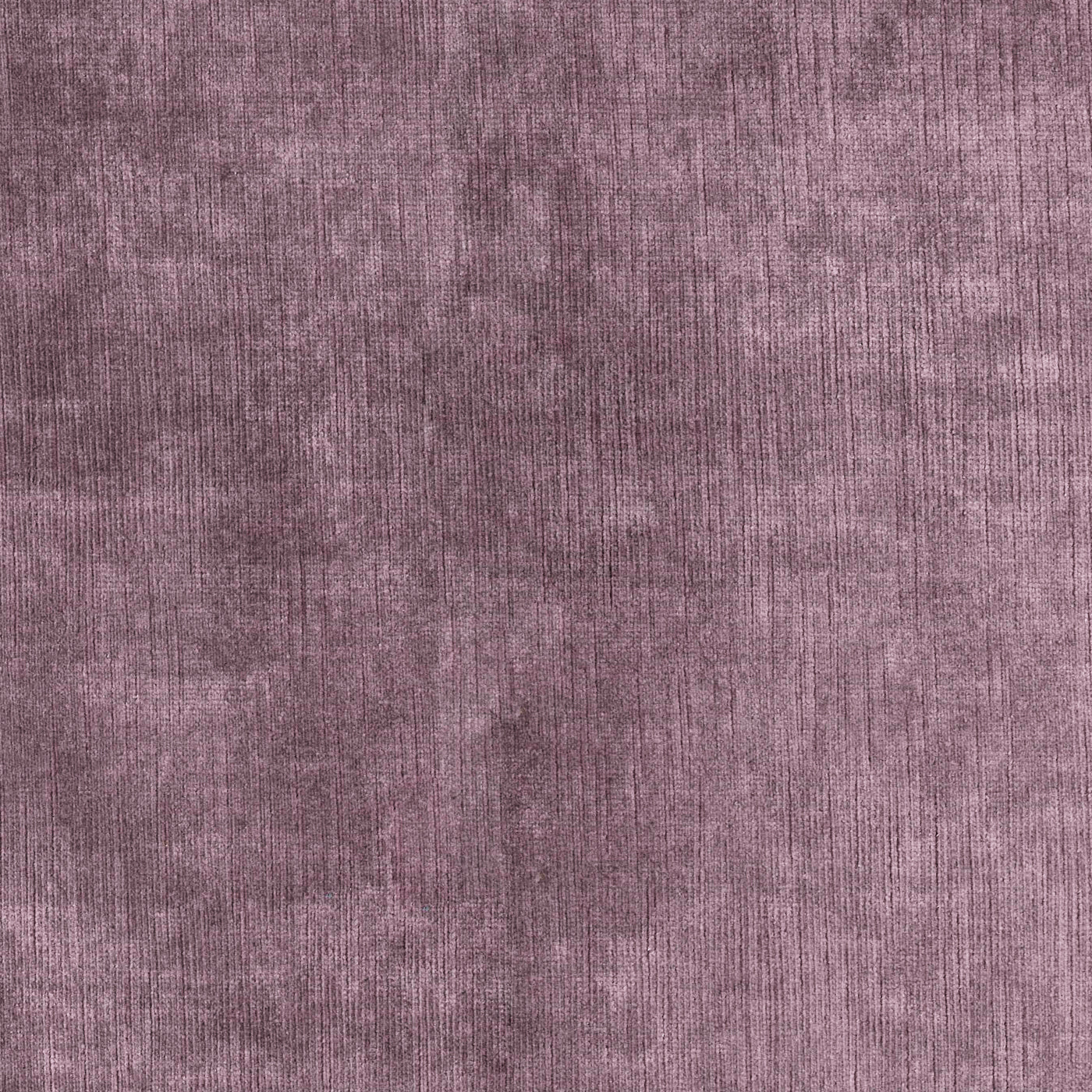 Brussels Amethyst Crystal - Natural Healing Stone for Meditation, Chakra Balancing & Spiritual Growth - Perfect for Home Decor, Jewelry Making & Energy Work