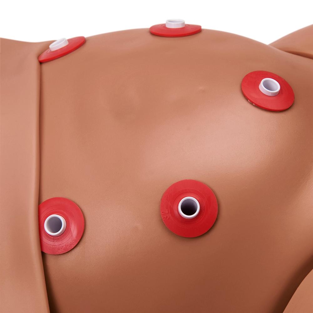 1 Year Mike® and Michelle® Pediatric Simulator with Realistic Features - Perfect for Medical Training, Nursing Education & CPR Certification Classes
