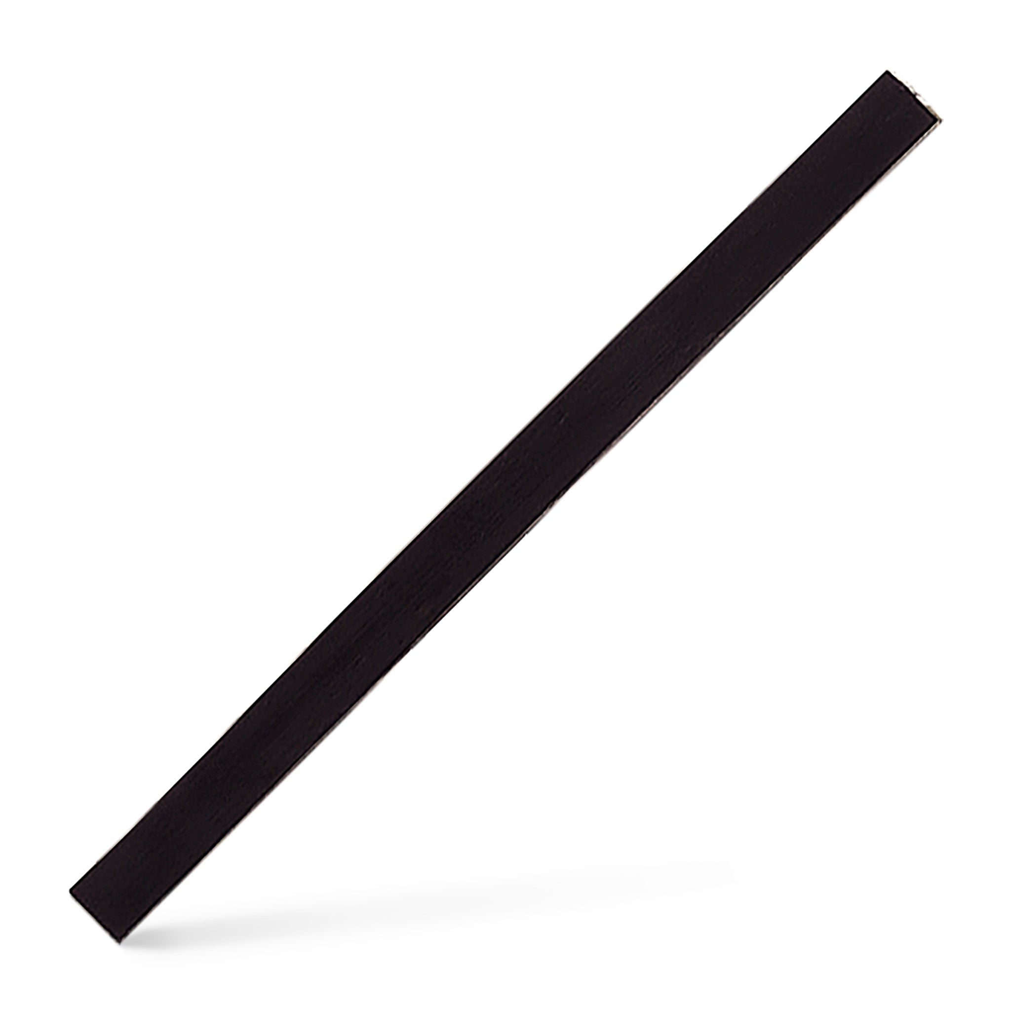 Pitt Monochrome Artists' Crayon - #199 Black Burnt Medium (128300) | Premium Drawing & Sketching Tool for Professional Artists & Students | Perfect for Charcoal Drawings, Portraits & Fine Art Sketching
