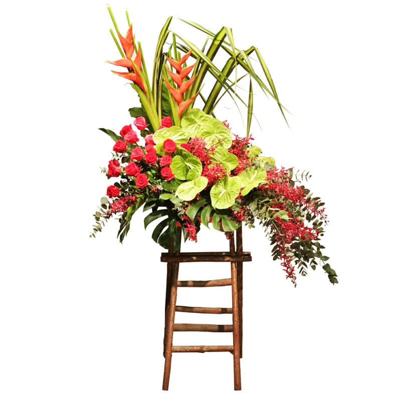 Grand Opening Sale - 17 Must-Have Products for Your Home & Lifestyle | Perfect for Gifts, Parties & Daily Use