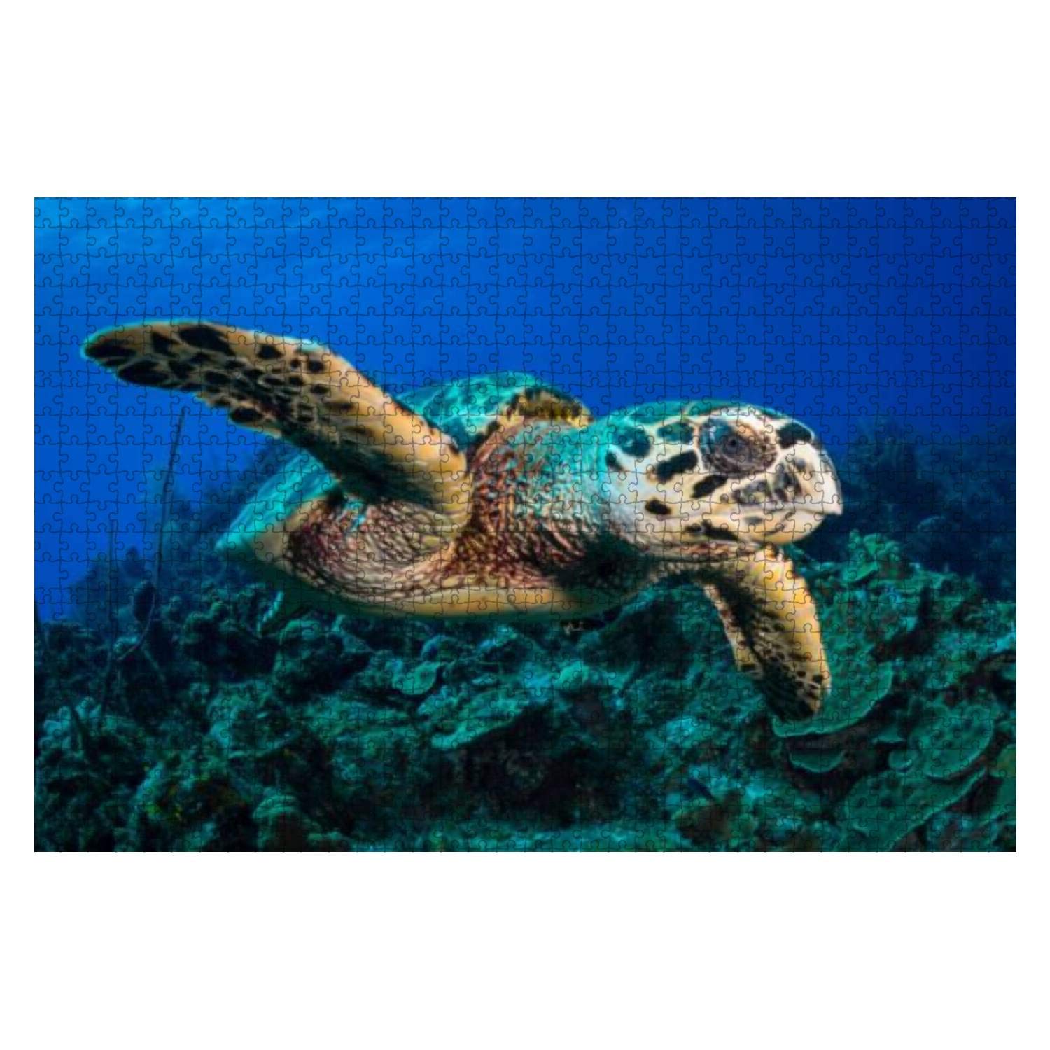 1000 Piece Wooden Jigsaw Puzzle - Hawksbill Sea Turtle - Educational & Stress Relief Game for Kids & Adults - Perfect for Family Bonding & Home Decor