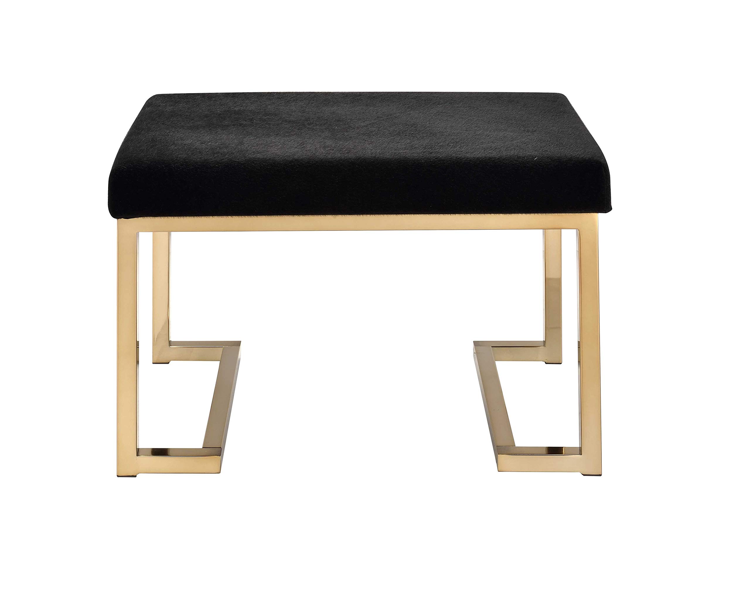 HomeRoots Black Fabric & Champagne Ottoman - Stylish Storage Footrest for Living Room, Bedroom & Office
