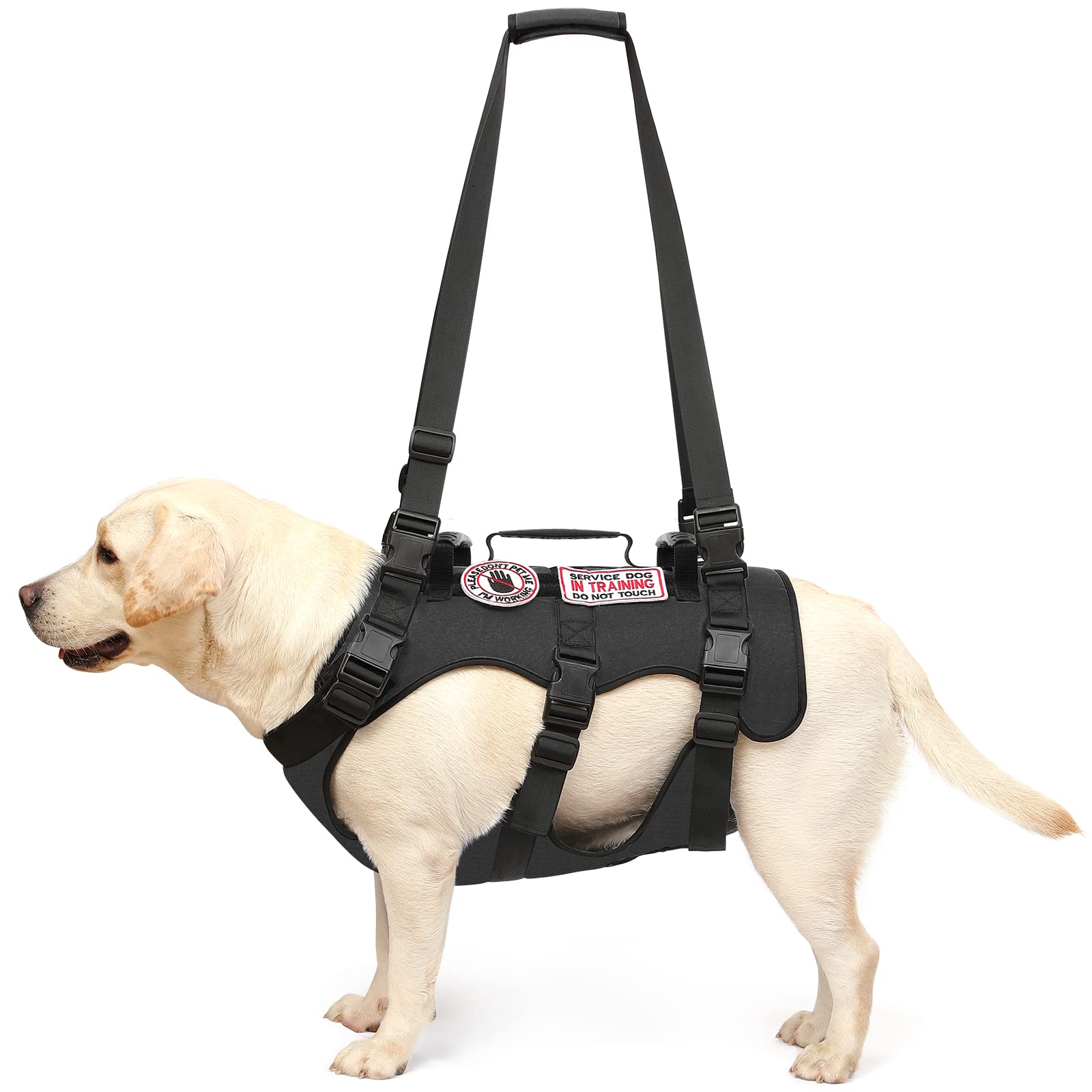 NOYAL Adjustable Dog Lift Harness - Padded & Breathable Pet Support Sling for Elderly, Disabled, or Injured Dogs with Arthritis, Hip Dysplasia & Mobility Issues - Perfect for Rehabilitation, Post-Surgery Care & Daily Assistance