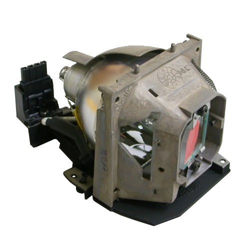 Original OEM NEC Projector Lamp for Model LT20 - Replacement Bulb & Housing - Compatible with NEC Projectors for Home Theater, Office Presentations & Classroom Use