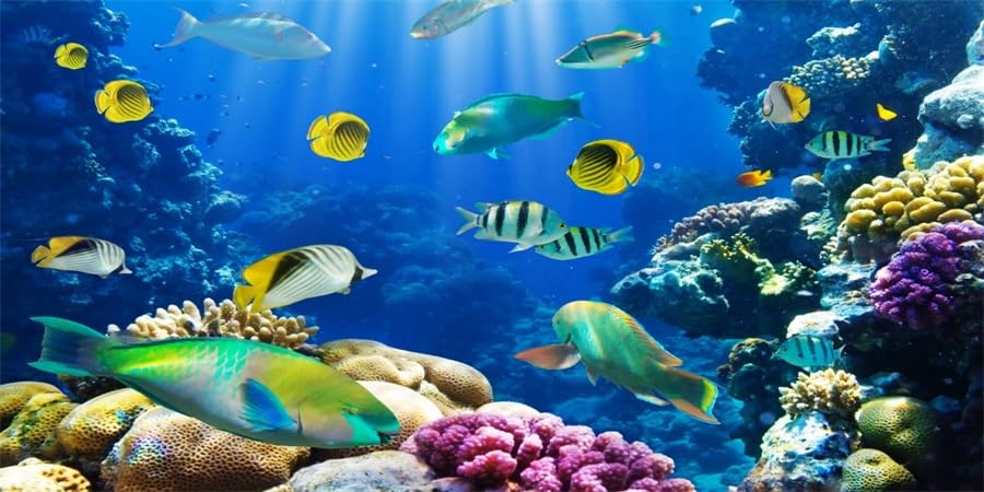 YongFoto 48x18 Inch Ocean Theme Fish Tank Background - Coral Seaweed Reef Rock Seafloor Tropical Fish Underwater Scenery Polyester Backdrop for Aquarium, Reptile Habitat & Terrarium | Perfect for Home Decor, Aquatic Pet Environments and Underwater Photography