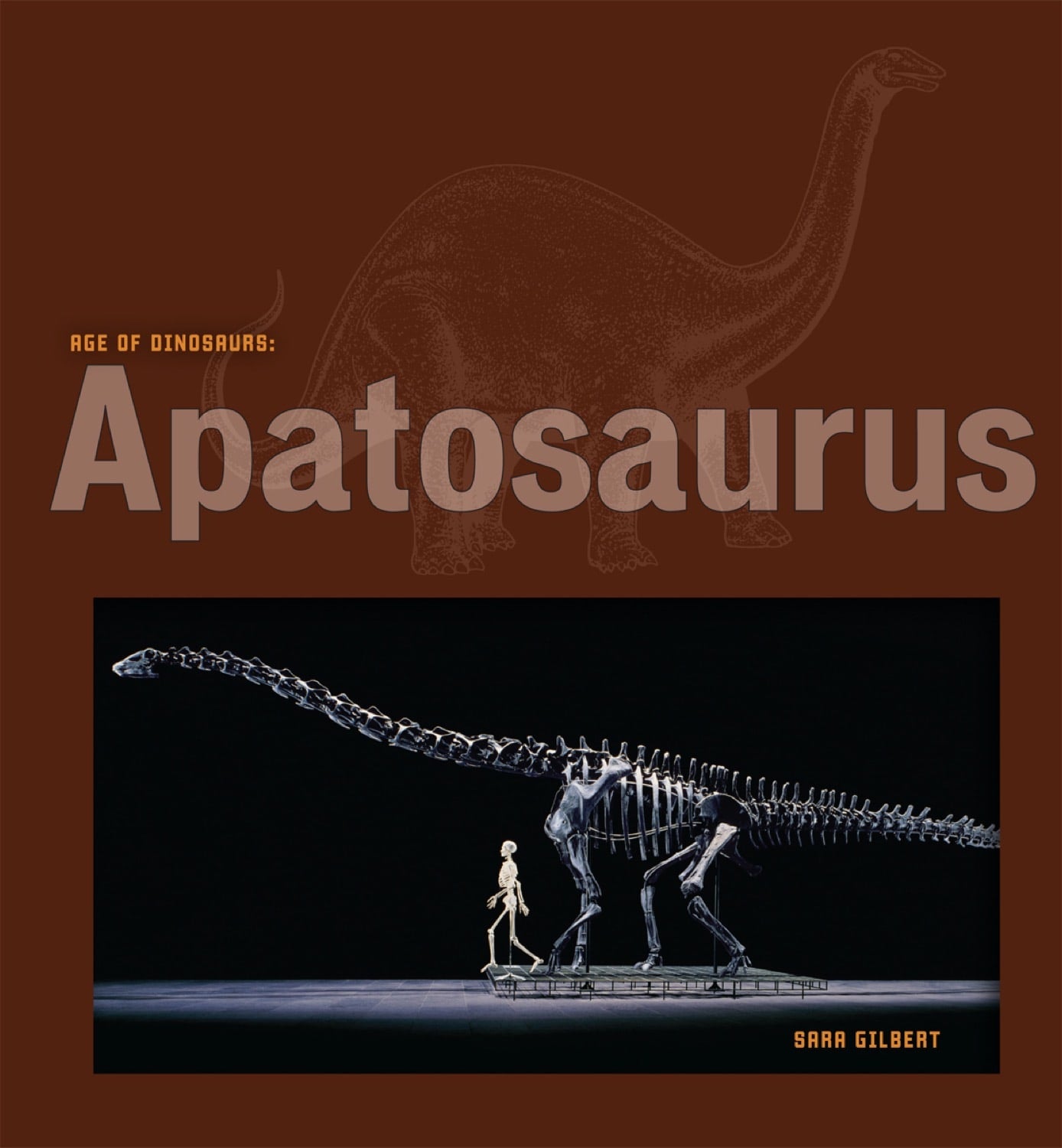Apatosaurus Dinosaur Book 978-1-58341-974-8 | Educational Kids Book for Dinosaur Lovers & School Projects