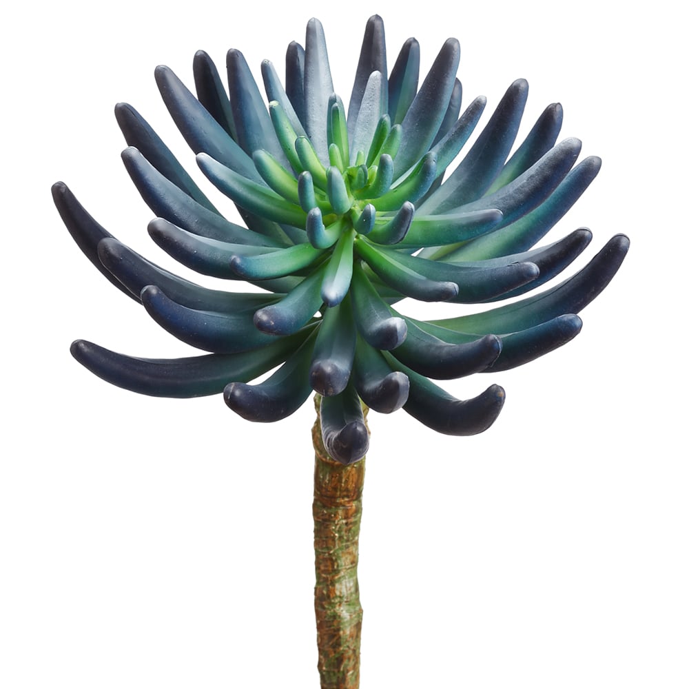 12 Pack Blue/Green Aeonium Artificial Stems - Realistic Fake Succulent Plants for Home Decor, Wedding Centerpieces, and DIY Floral Arrangements
