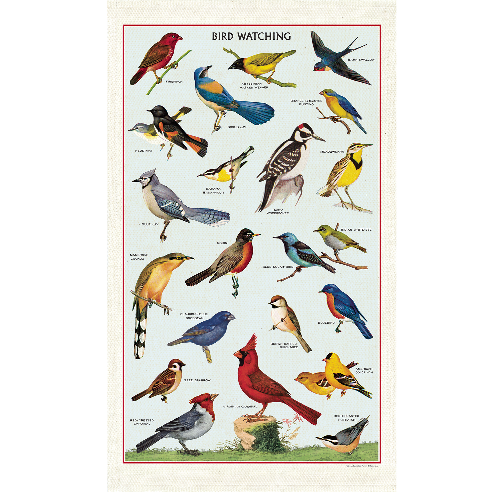 Bird Watching Tea Towel - Premium Cotton Kitchen Towel with Bird Lover Design - Perfect for Birdwatching Enthusiasts & Home Decor