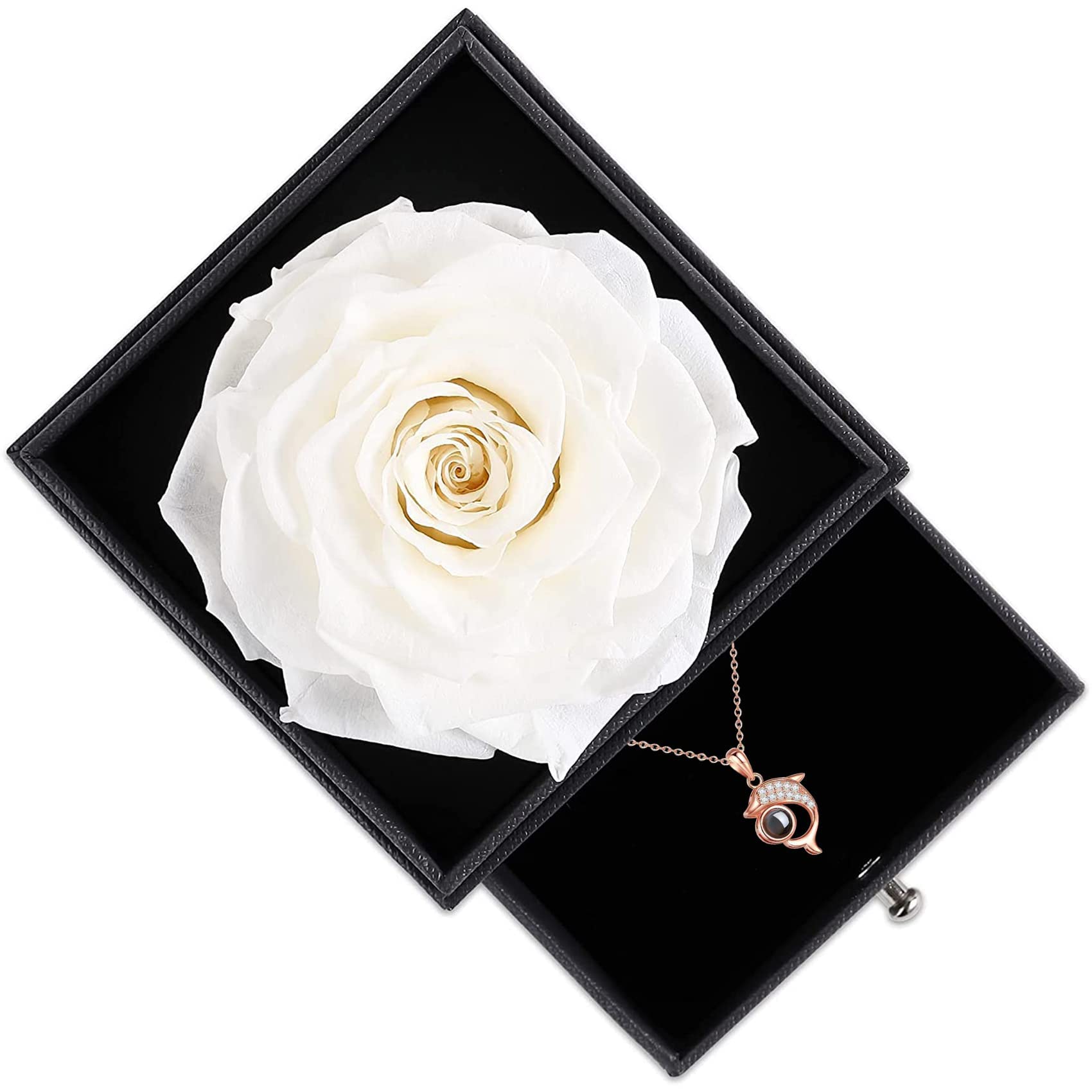 Forever Preserved Rose with 'I Love You' Necklace in 100 Languages - Eternal Rose Gift for Women, Wedding, Birthday & Valentine's Day - White Rose in Glass Dome with Gift Card - Perfect for Anniversaries, Proposals & Romantic Surprises