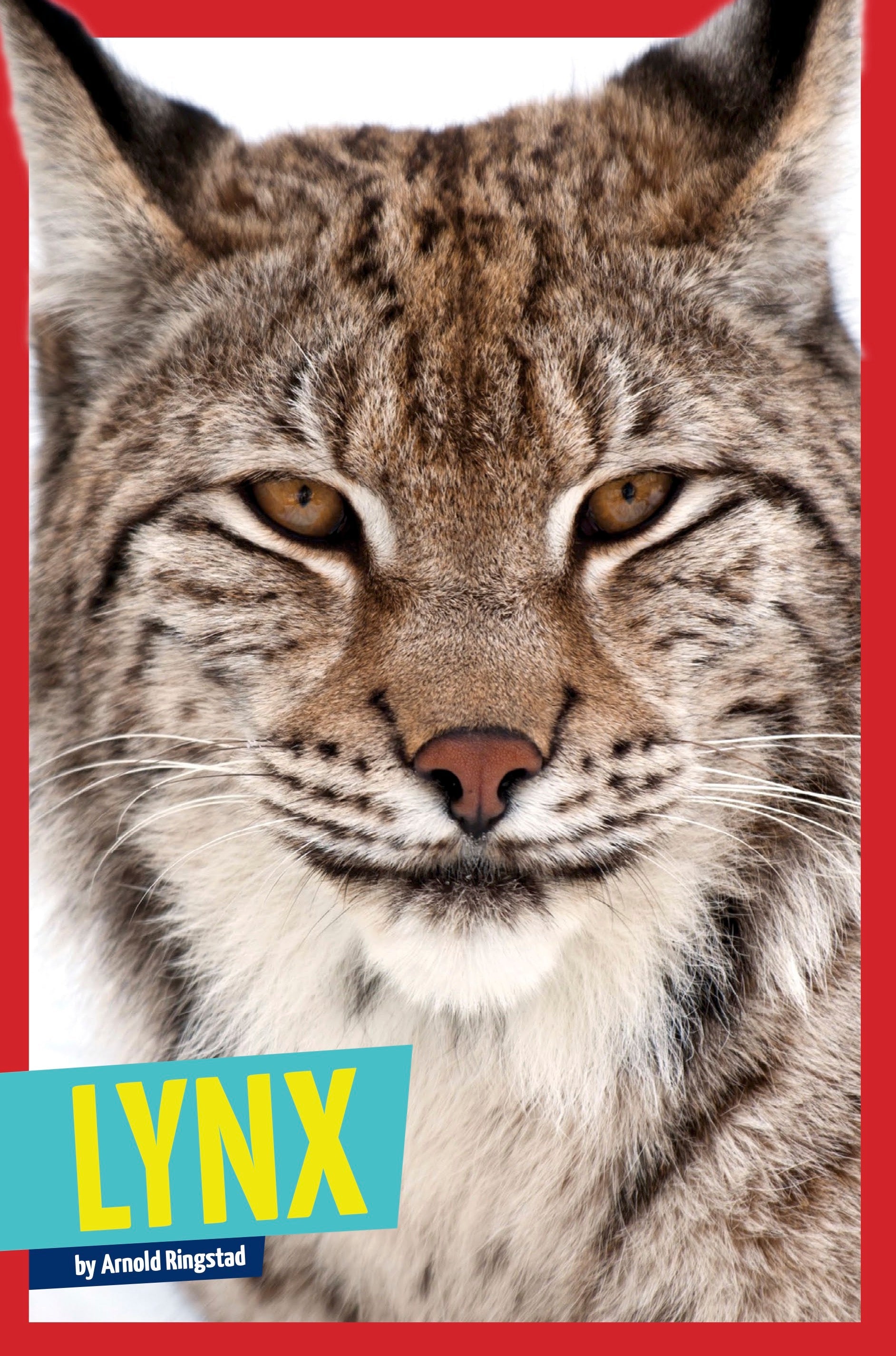 Lynx Wild Cats - Realistic Stuffed Animal Toy for Kids & Collectors - Perfect for Gifts, Room Decor, and Wildlife Enthusiasts