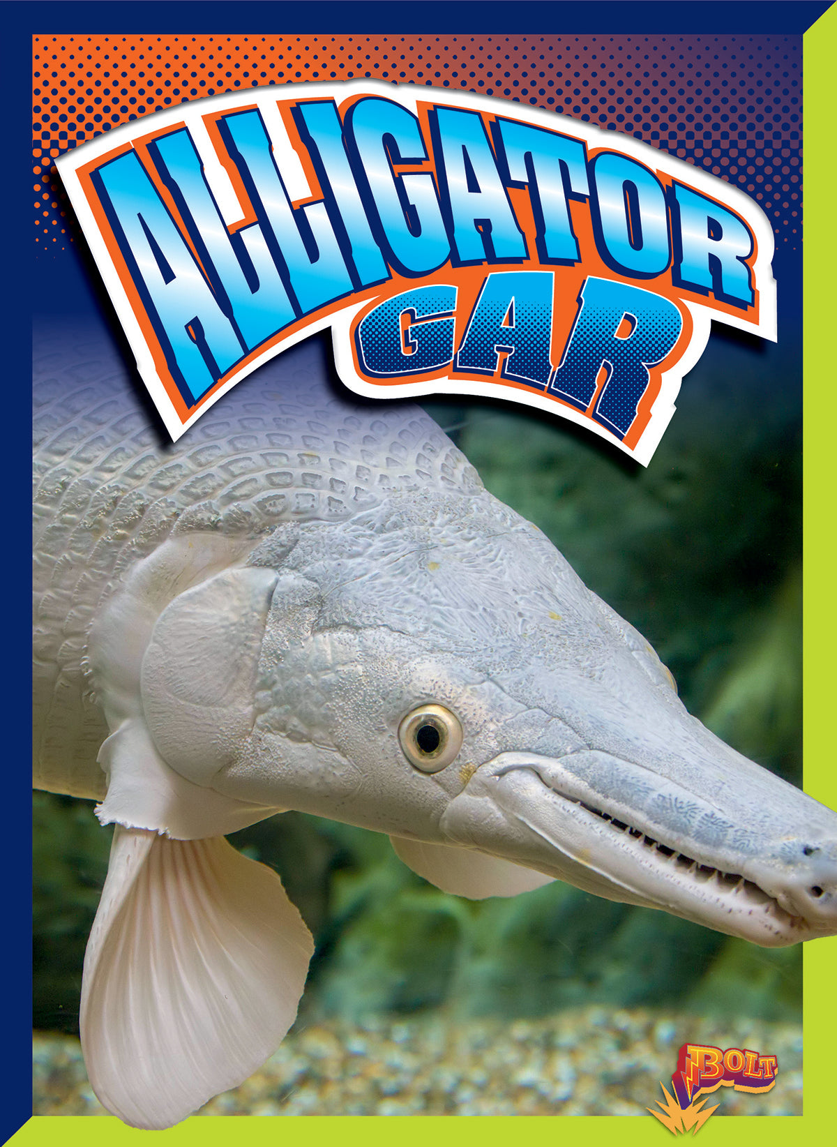 Alligator Gar Book - 9781623109110 - Learn About This Ancient Fish Species for Fishing Enthusiasts & Aquatic Life Lovers