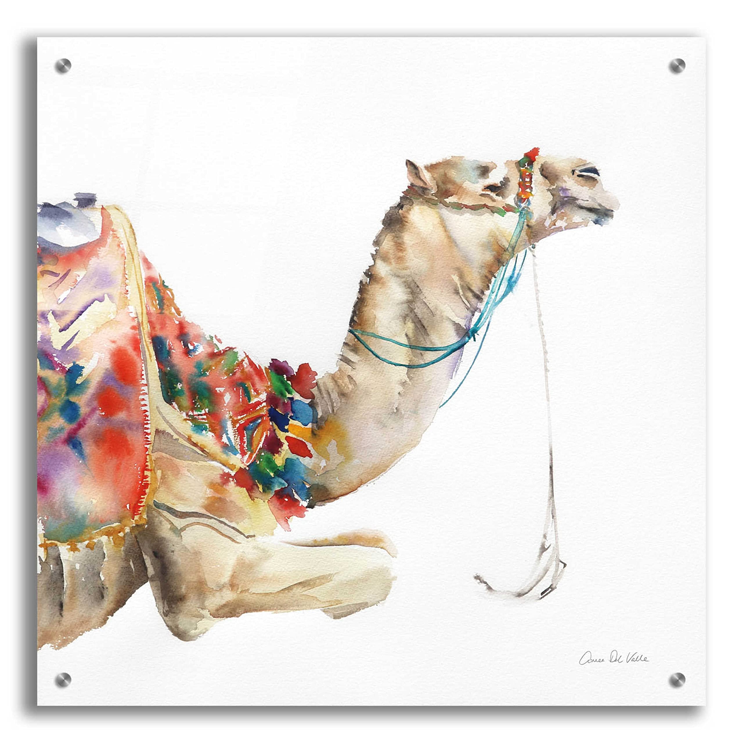 Desert Camel I Acrylic Glass Wall Art by Alan Majchrowicz - 24x24 Inches Modern Home Decor for Living Room, Bedroom & Office