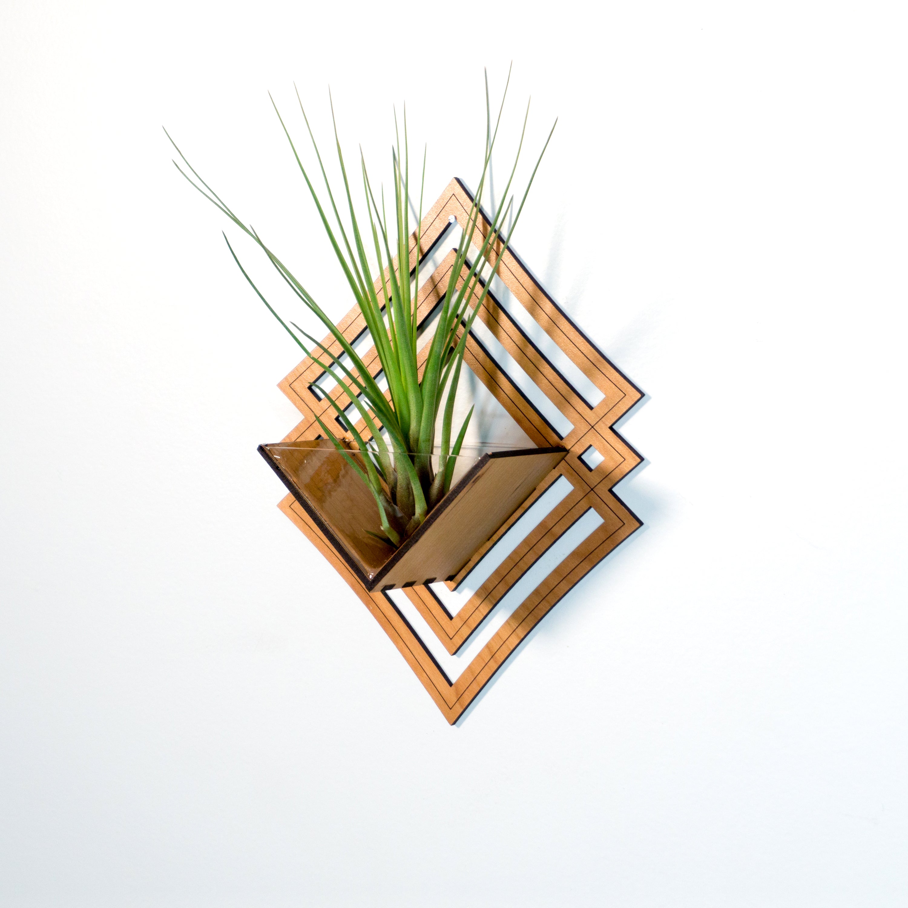 Modern Handmade Wood Wall Hanging Planter Set of 6 - Air Plant Holder & Mounted Display Hanger for Home Decor - Perfect Plant Lover Gift & Living Art for Living Room, Bedroom, or Office