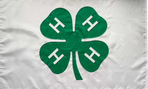4H Shamrock 3'X5' Embroidered Irish Flag - Durable 300D Nylon Rough Tex® - Perfect for St. Patrick's Day Decor, Irish Pride Events & Outdoor Display