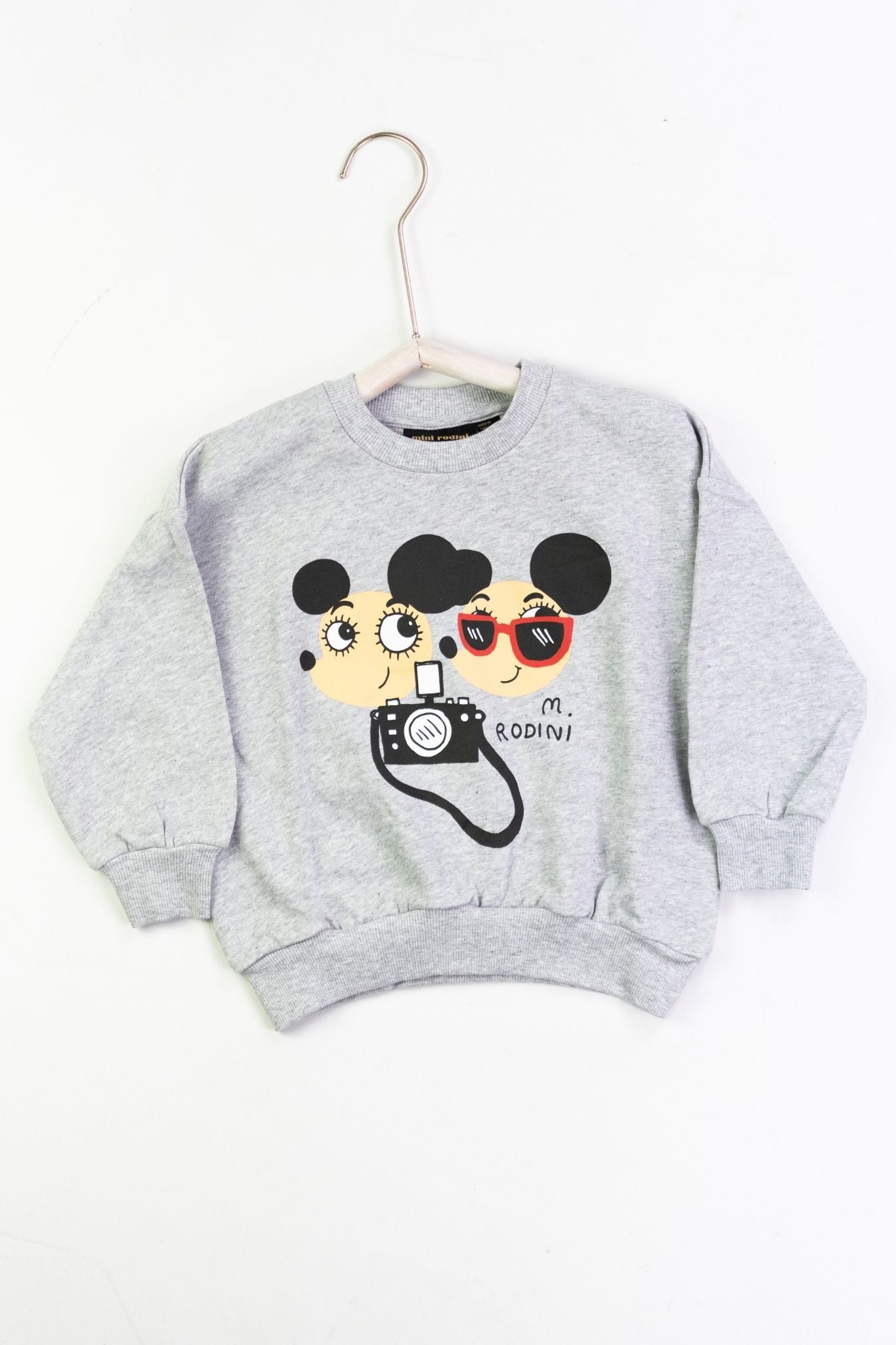 Grey Ritzratz Sweatshirt for Toddler & Little Boy - Soft Cotton Pullover Hoodie for Kids, Playdates & Outdoor Activities
