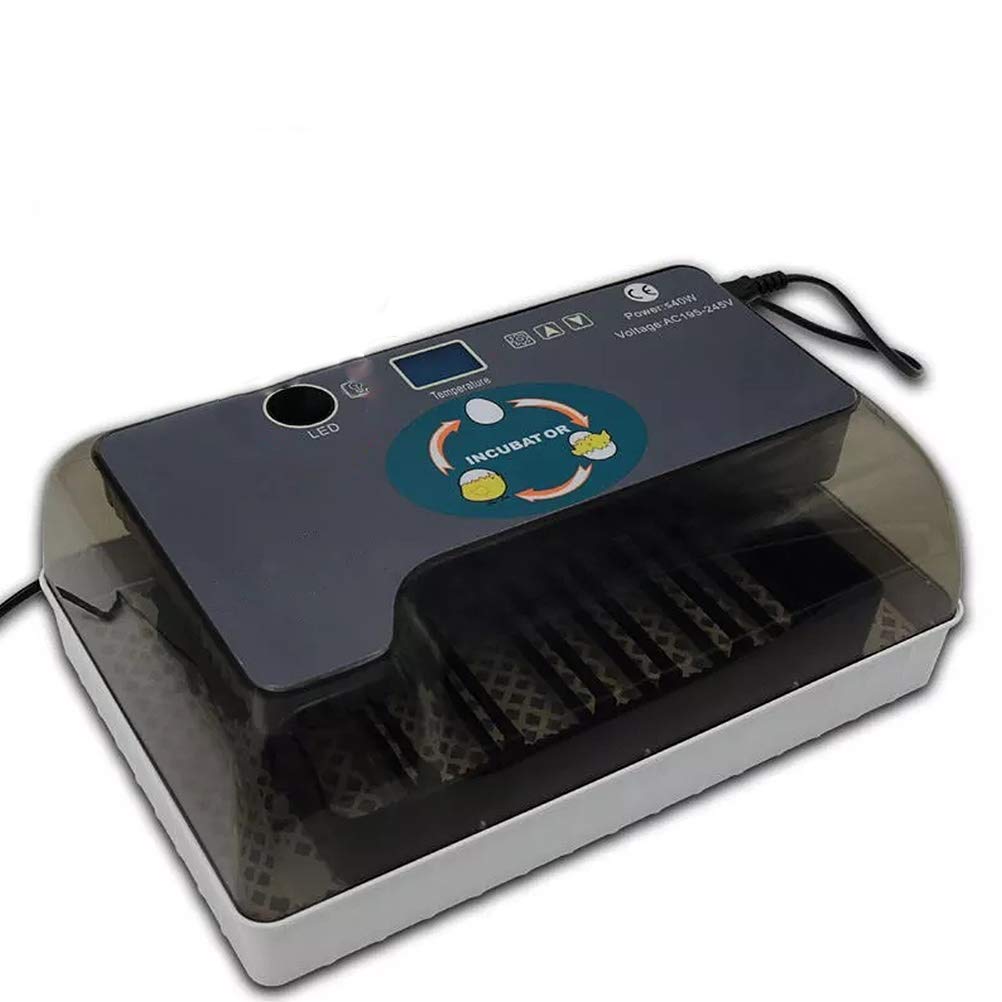 ZNND Digital Mini Automatic Egg Incubator - 12 Egg Capacity with Precise Temperature Control for Chicken, Duck, Goose & Quail Eggs | Perfect for Poultry Farming, Hatching Projects & Backyard Bird Breeding
