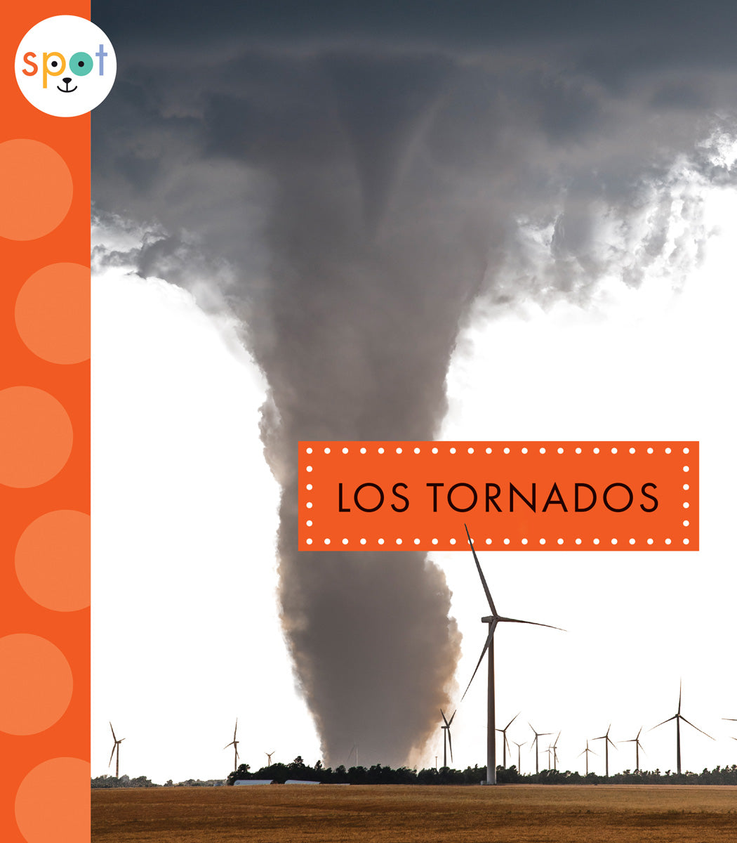 Best Tornado-Resistant Products for Home Safety - Durable Storm Protection Gear for Emergency Preparedness & Outdoor Use