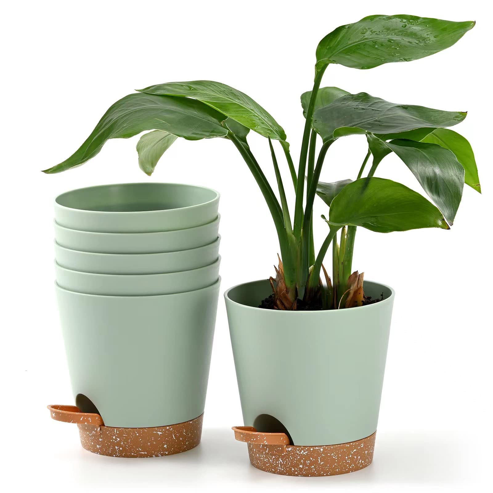6-Pack 5 Inch Self-Watering Plant Pots with Drainage Holes - Indoor/Outdoor Flower Planters with Reservoir Tray & Watering Lip - Perfect for Home, Office, Balcony Gardening - Green Gardening Pots for Herbs, Succulents & Small Plants