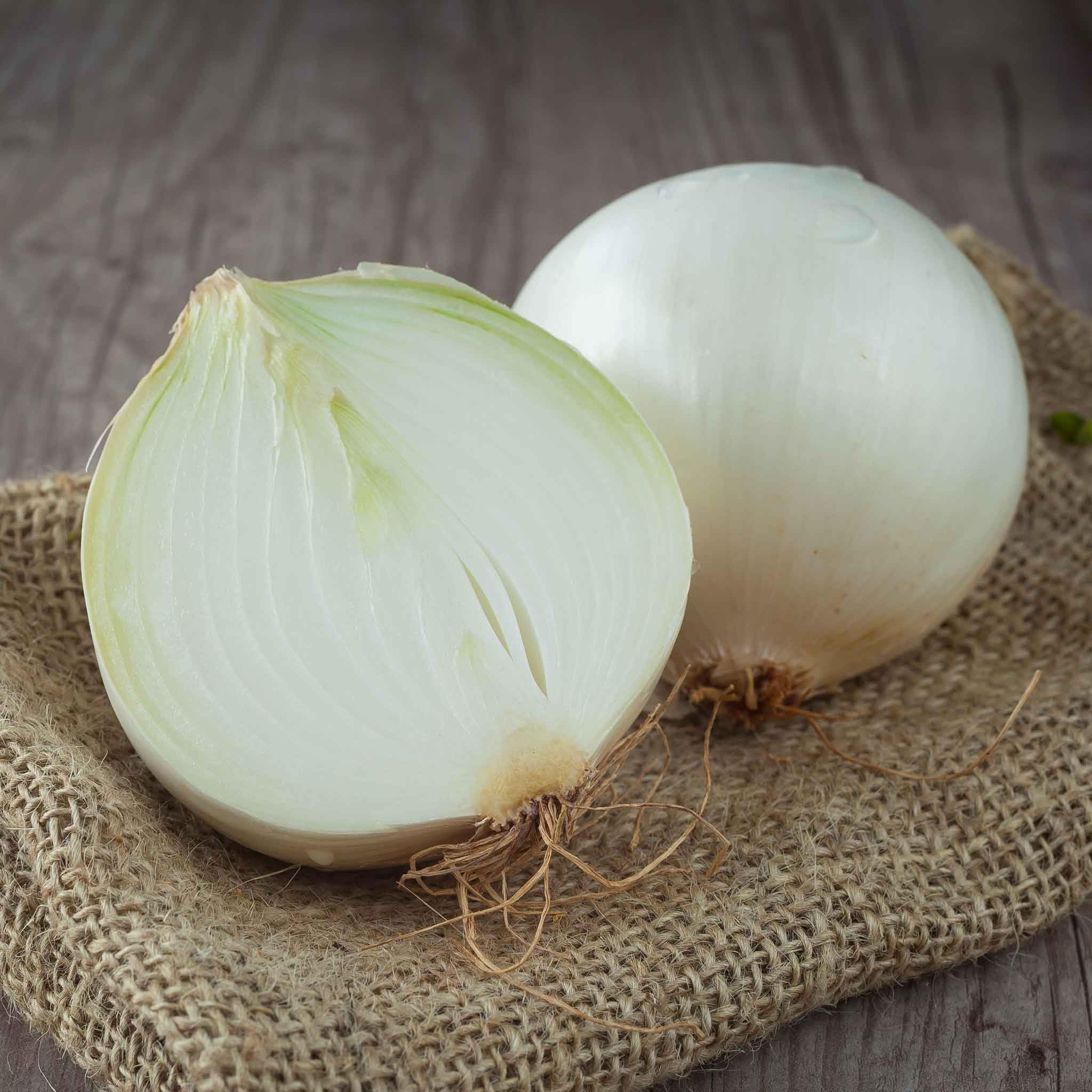Eden Brothers White Sweet Spanish Onion Seeds (Long Day) - Non-GMO, Heirloom Variety for Home Garden & Fresh Salads
