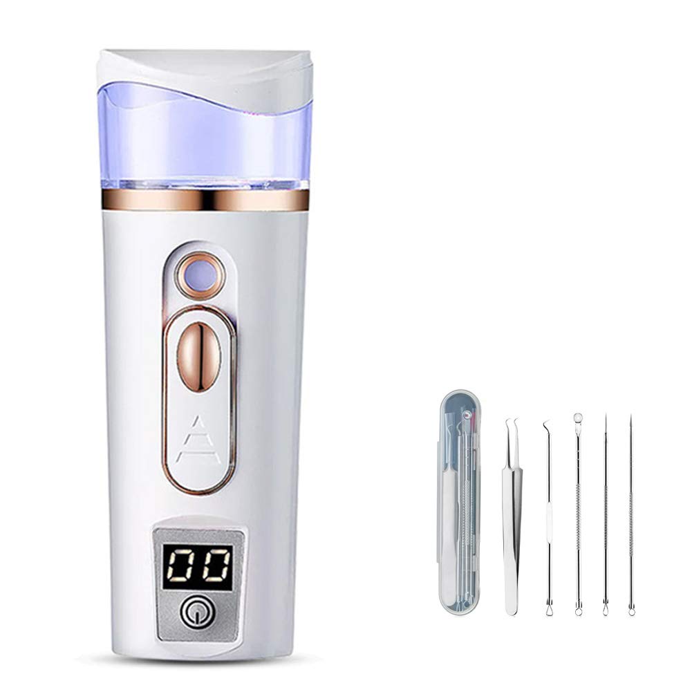 Mini Facial Steamer - Nano Ionic Face Mist Sprayer for Hydrating Skin Care, USB Rechargeable Portable Facial Moisturizer with Skin Test Function, White - Perfect for Home Spa, Travel & Daily Skincare Routine