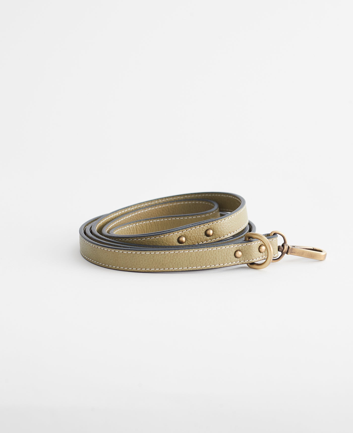 Premium Small Dog Lead with Avocado Print - Durable & Stylish Leash for Small Dogs - Perfect for Walking, Training & Outdoor Adventures