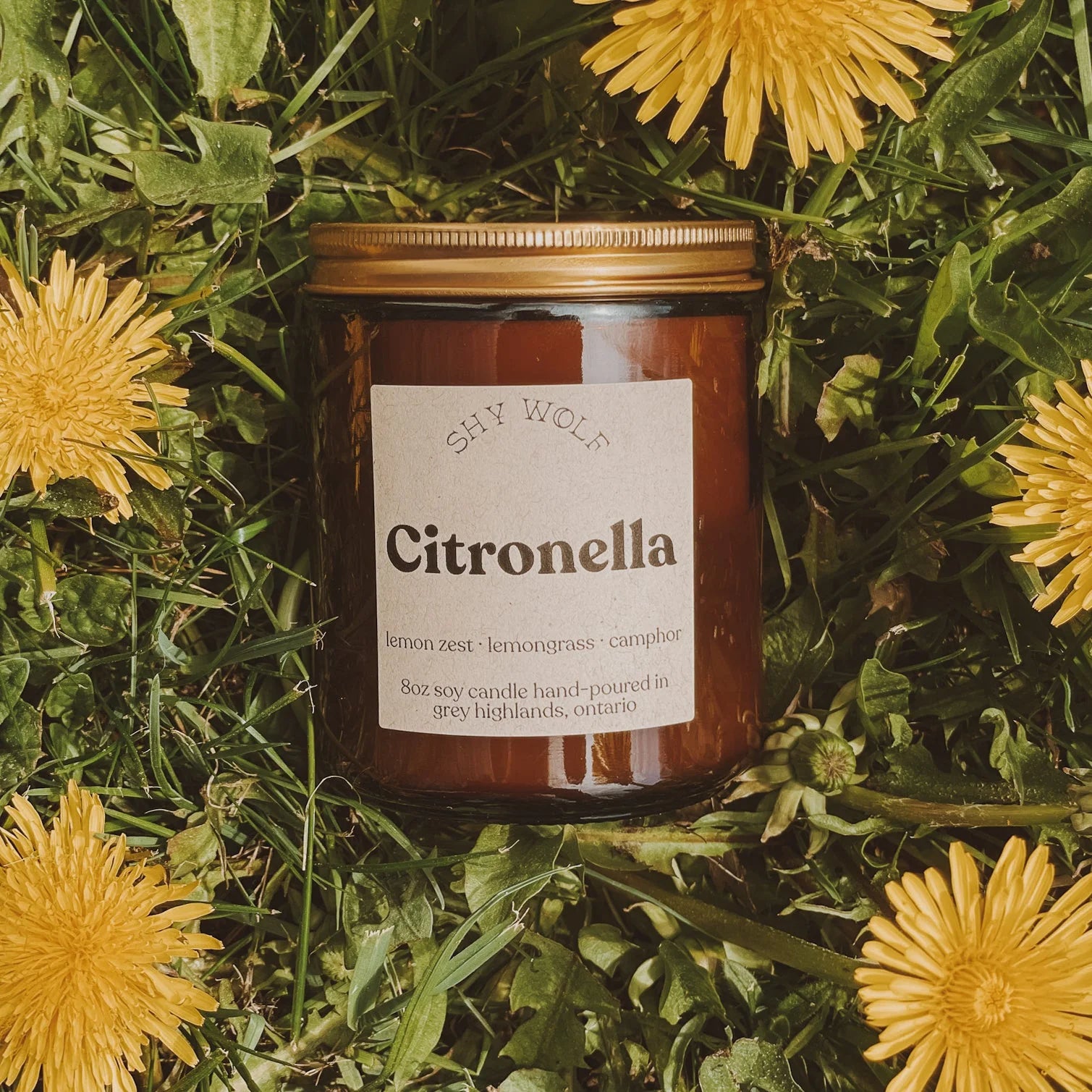 Shy Wolf Citronella Candles - Natural Mosquito Repellent for Outdoor Patio, Garden & Camping