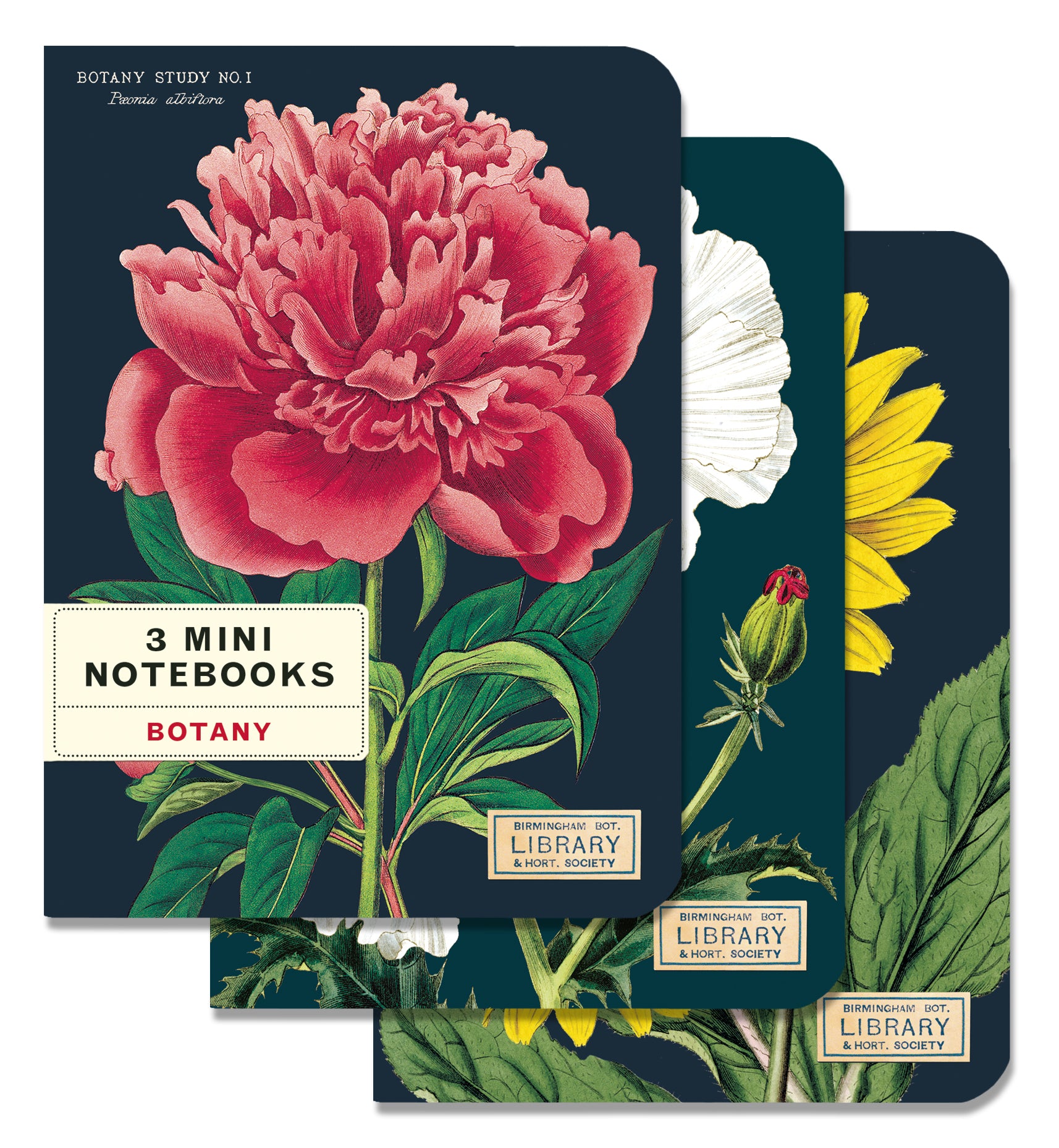 Botany Themed Mini Notebook Set - 3 Pack for Journaling, Note Taking & Gift Giving - Perfect for Students, Writers & Office Use