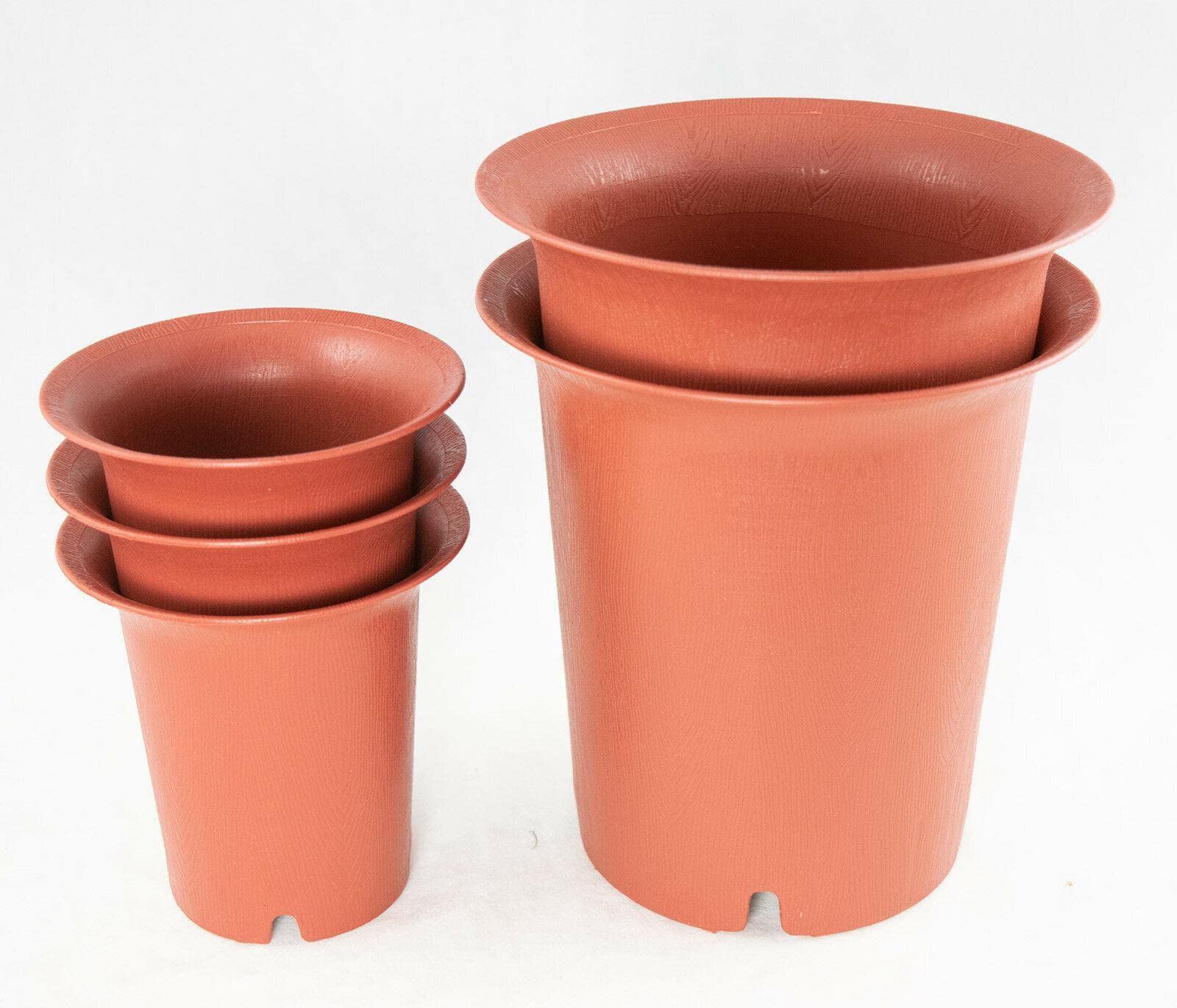 CarteRE 5-Pack Flower Pots with Stand - 4.25
