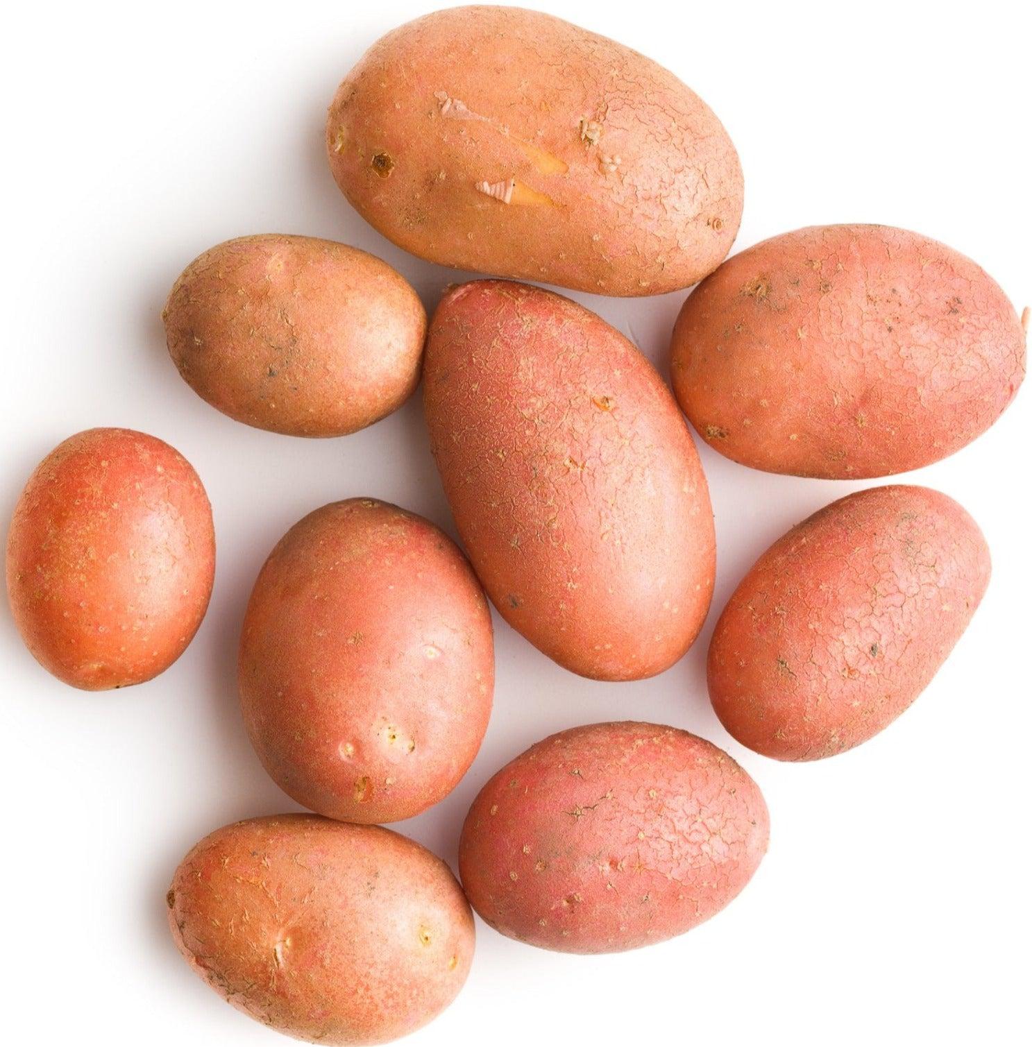 Fresh Red Potatoes - Premium Quality for Cooking, Baking & Healthy Meals - Perfect for Salads, Soups & Side Dishes