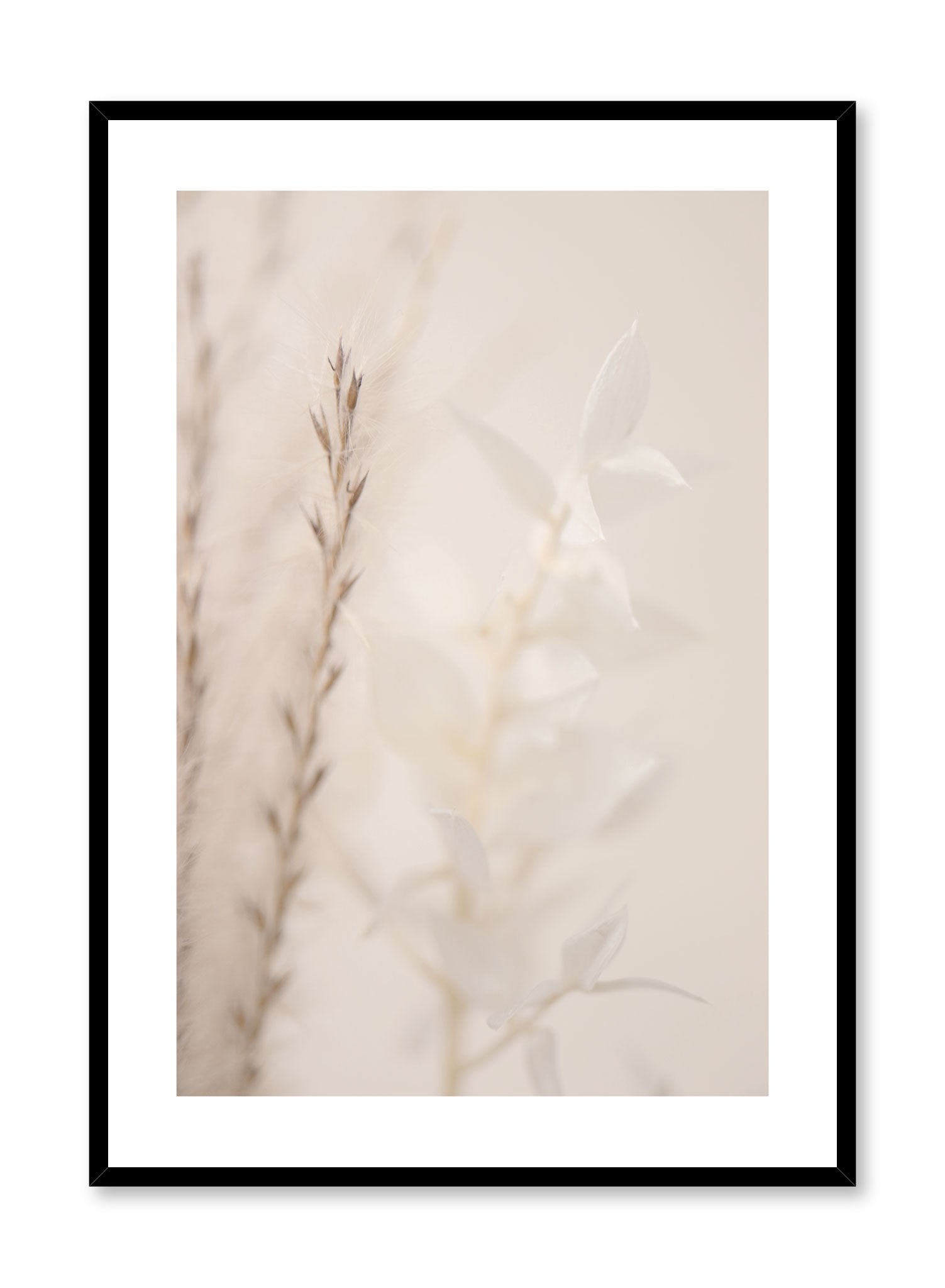 Dreamy Sprigs Wall Art Poster - Botanical Floral Print for Home Decor, Living Room, Bedroom & Office - Perfect for Boho, Farmhouse & Aesthetic Room Decor