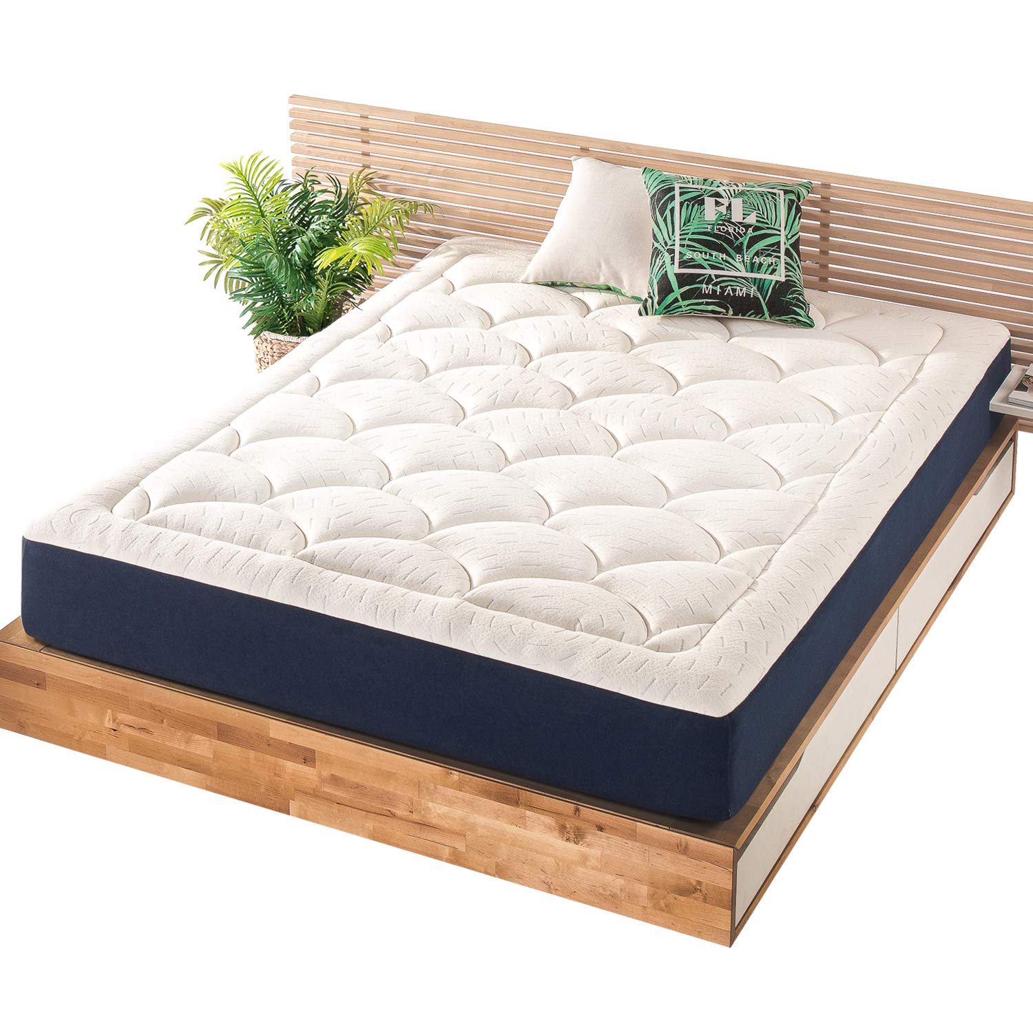 10 Inch Plush Memory Foam Mattress with Green Tea & Copper Infusion - Queen Size, CertiPUR-US Certified for Pressure Relief & Cooling Comfort | Perfect for Guest Rooms, Dorms & Apartment Bedrooms