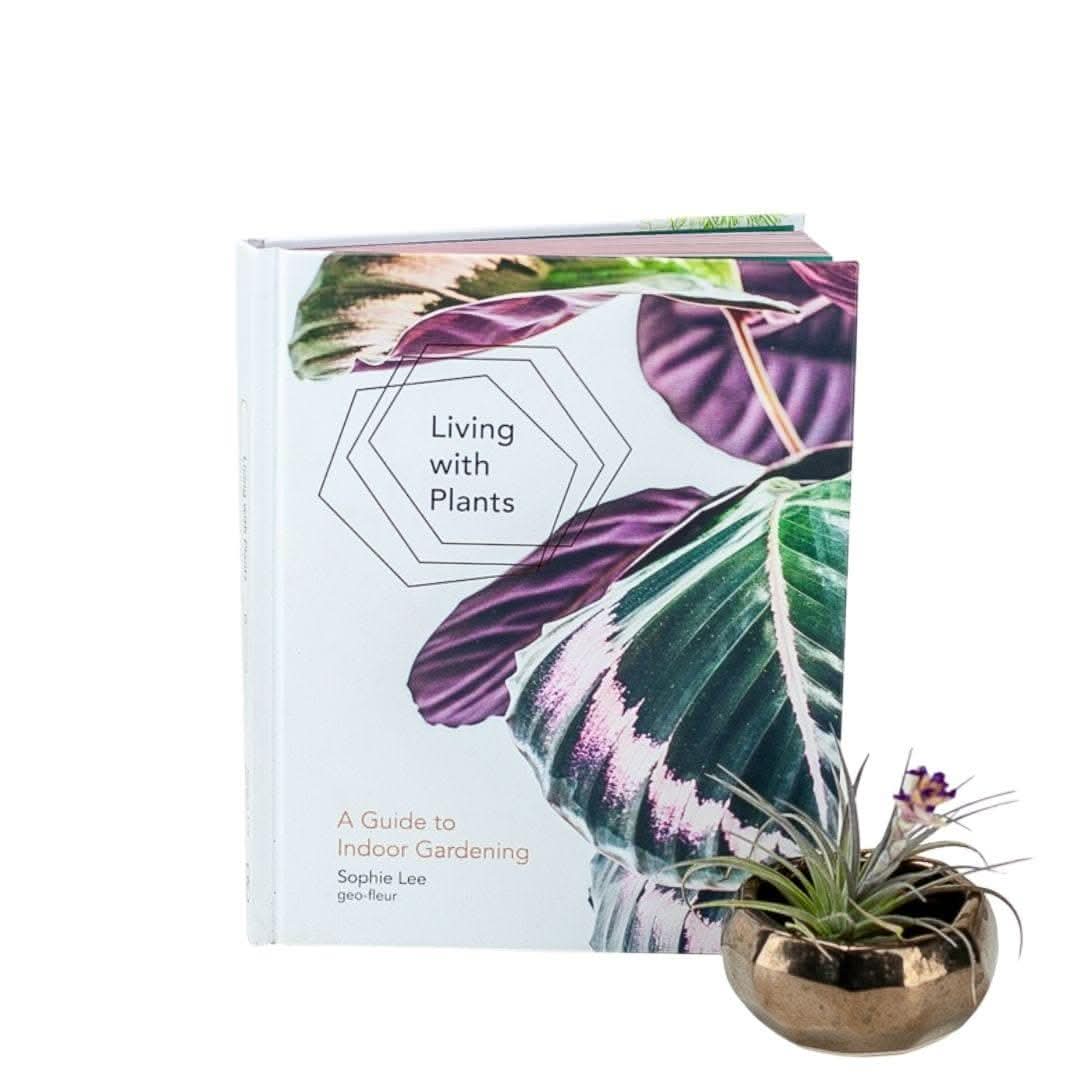 The Ultimate Guide to Indoor Gardening: How to Grow and Care for Houseplants | Perfect for Home Decor, Office Spaces & Small Apartments