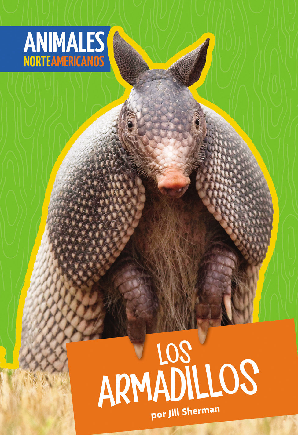 Armadillo Plush Toy - Soft & Cuddly Stuffed Animal for Kids & Collectors | Perfect for Gifts, Nursery Decor, and Wildlife Enthusiasts