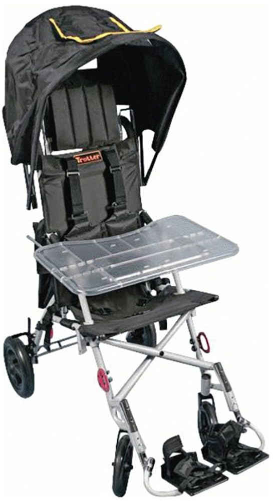 Drive Medical Trotter Mobility Rehab Stroller with Upper Extremity Support Tray - Adjustable Armrest for Physical Therapy, Elderly & Disabled Care - Ideal for Home Rehabilitation & Nursing Facilities (1 Count)