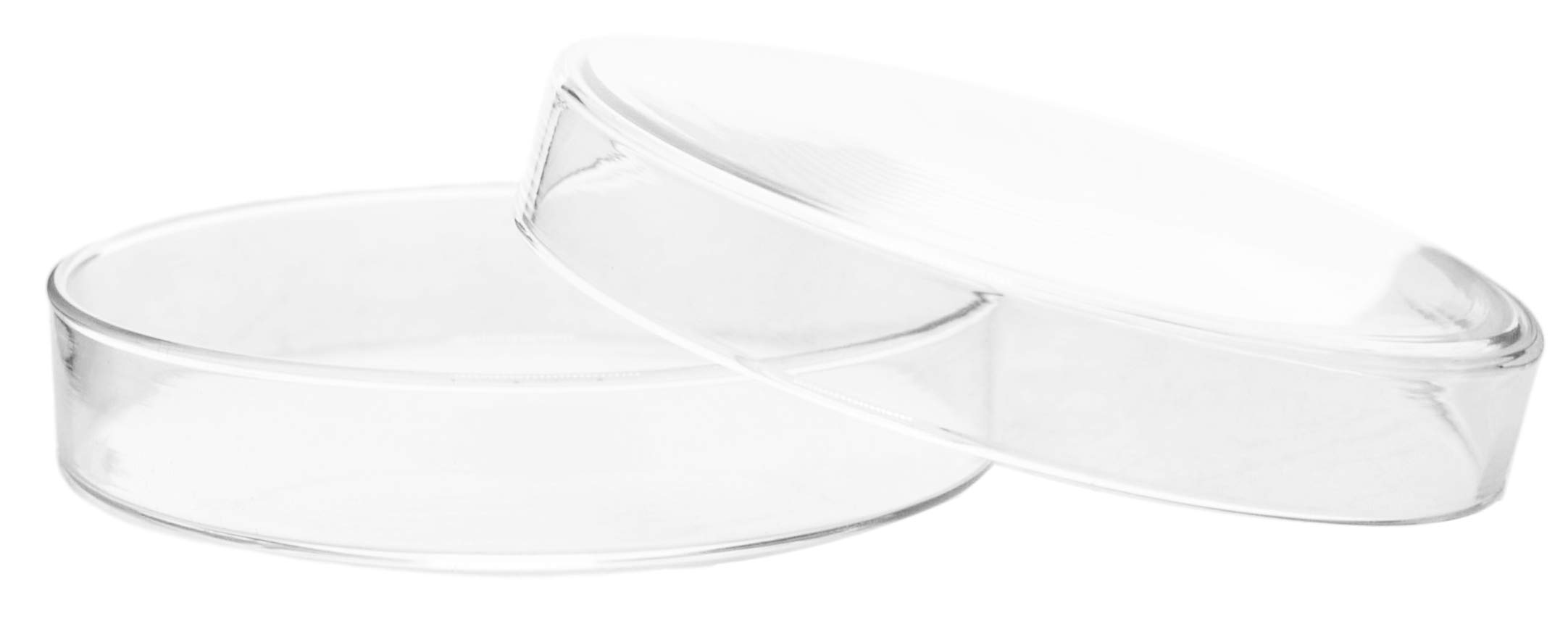 EISCO 90 x 15mm Soda Glass Petri Dish - Lab-Grade for Bacteria Culture, Science Experiments & Classroom Use