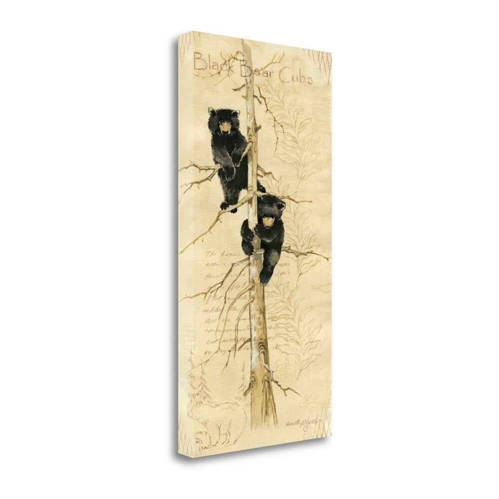 Black Bears Cubs by Anita Phillips - Fine Art Giclee Print on Gallery Wrap Canvas, Ready to Hang - Perfect for Home Decor, Office Wall Art & Wildlife Lover Gifts