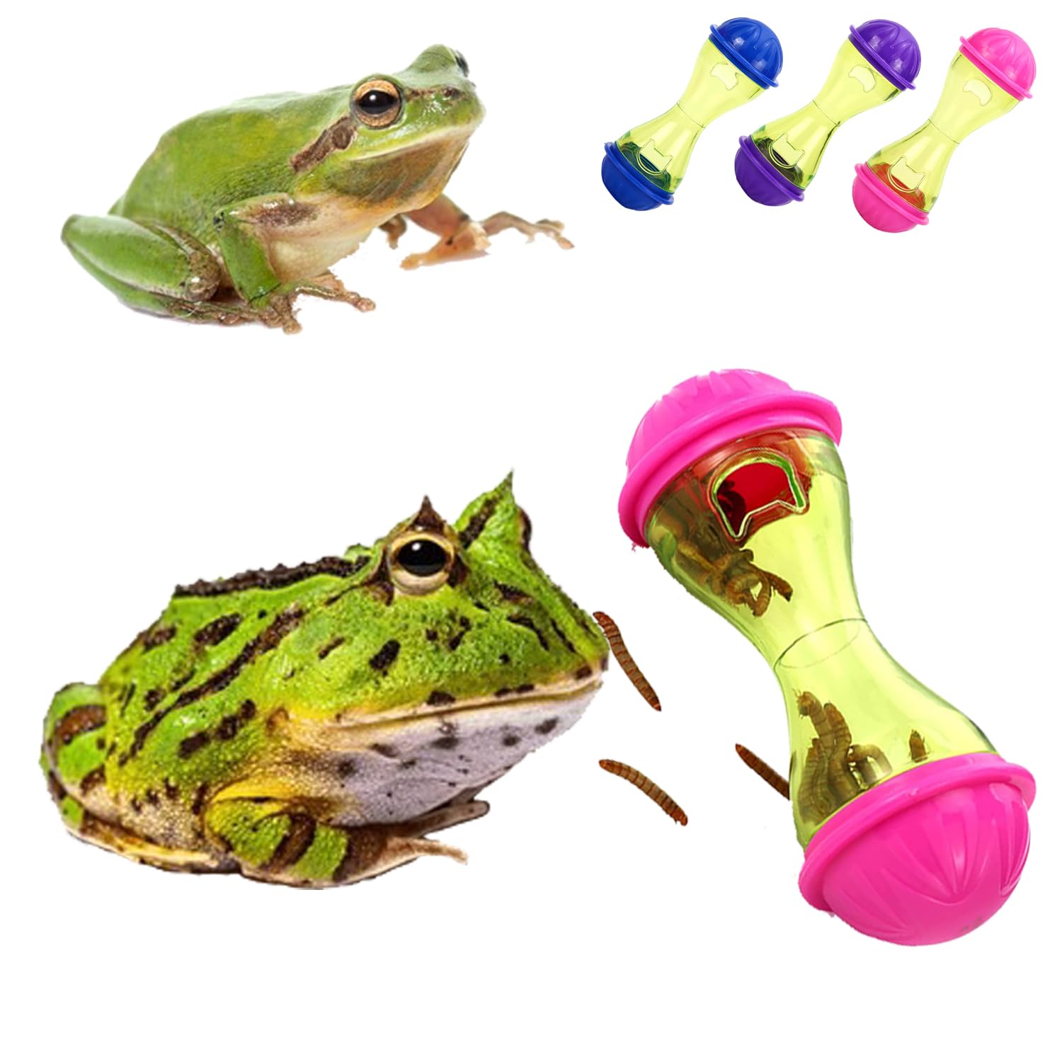 3Pcs Frog & Toad Feeder - Automatic Frog Food Dispenser for Terrariums - Habitat & Tank Accessories for Tree Frogs - Perfect for Feeding Pet Frogs in Home or Classroom Terrariums