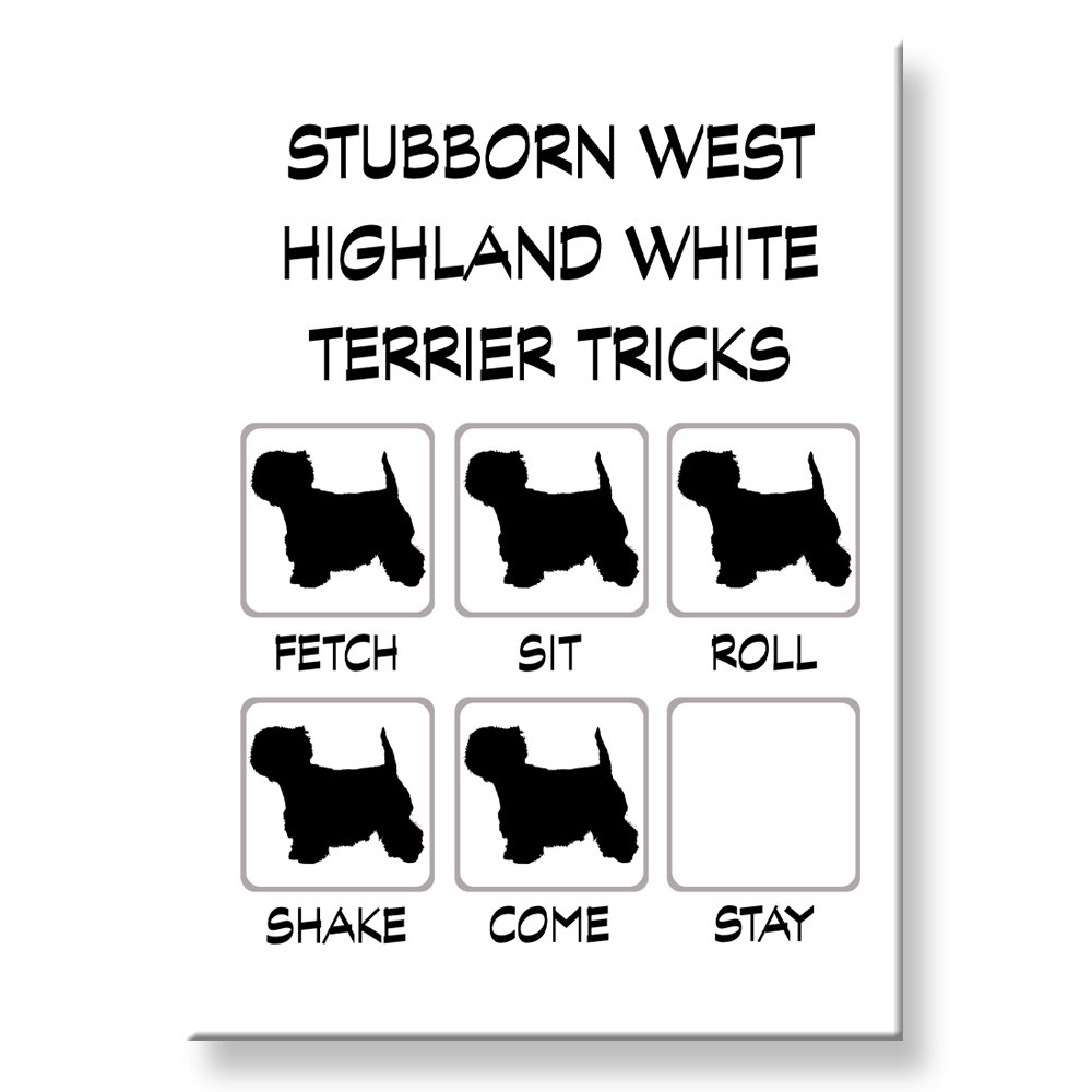 West Highland White Terrier Stubborn Dog Tricks Refrigerator Magnet - Funny Kitchen Decor for Dog Lovers & White Terrier Owners