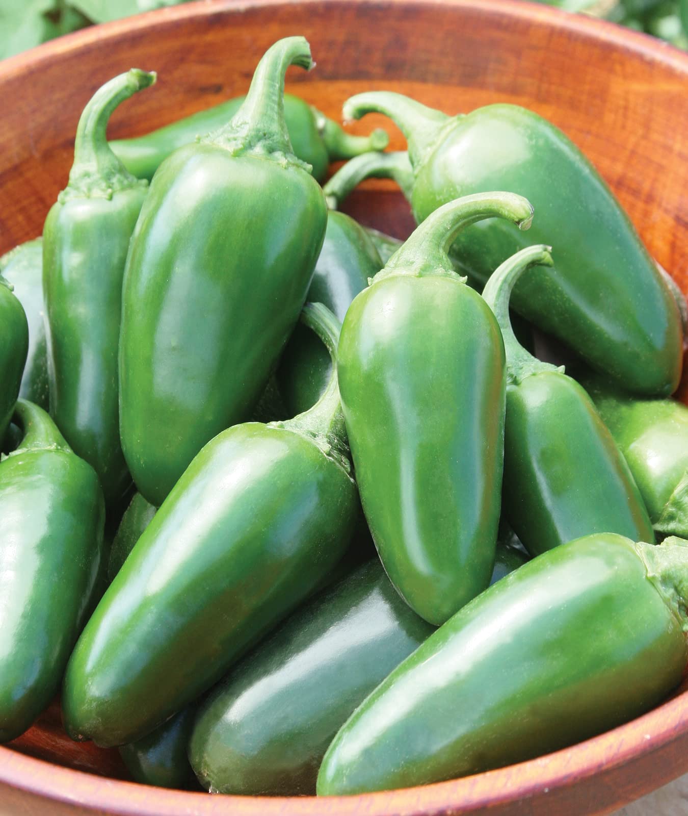 Organic Jalapeno Early Hot Pepper Seeds - 125 Non-GMO Heirloom Pepper Seeds for Planting | Certified Organic Vegetable Seeds for Home Garden | Perfect for Salsa, Pickling & Container Gardening